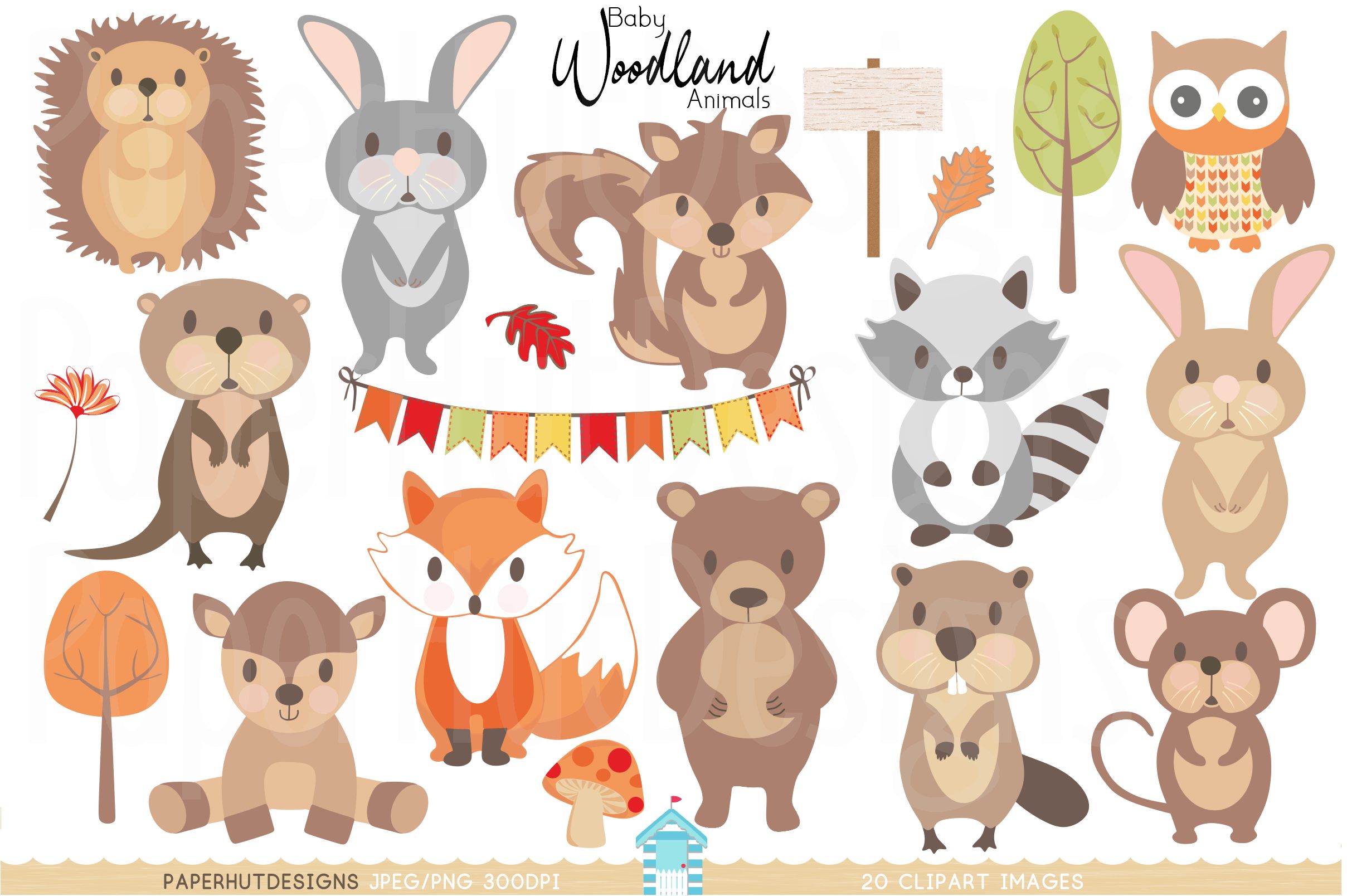 New Woodland Baby Animals Image Temal