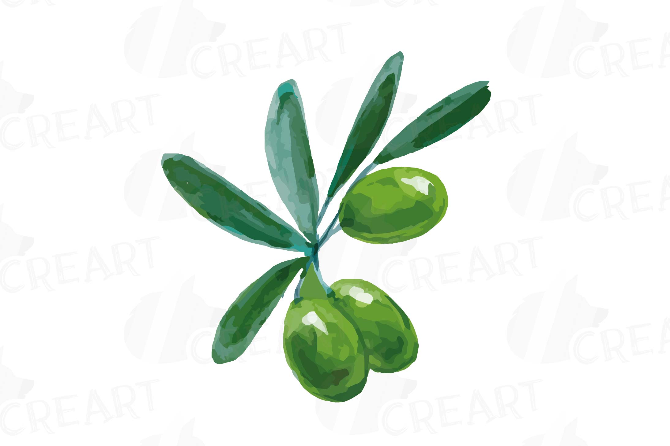 Watercolor olive leaves and branches clip art pack (182348