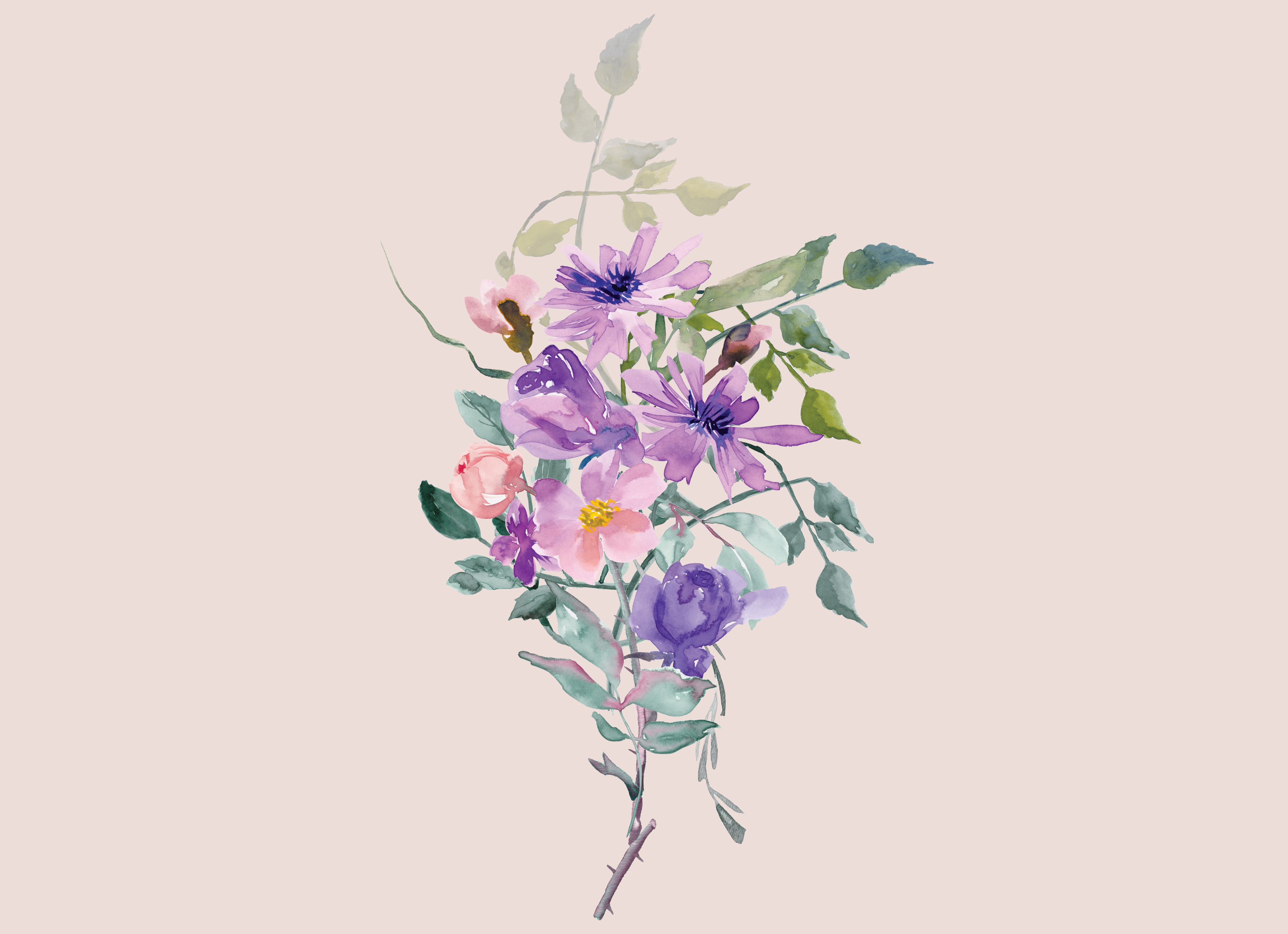 Purple Flowers Clipart Arrangements Elements and Seamless P