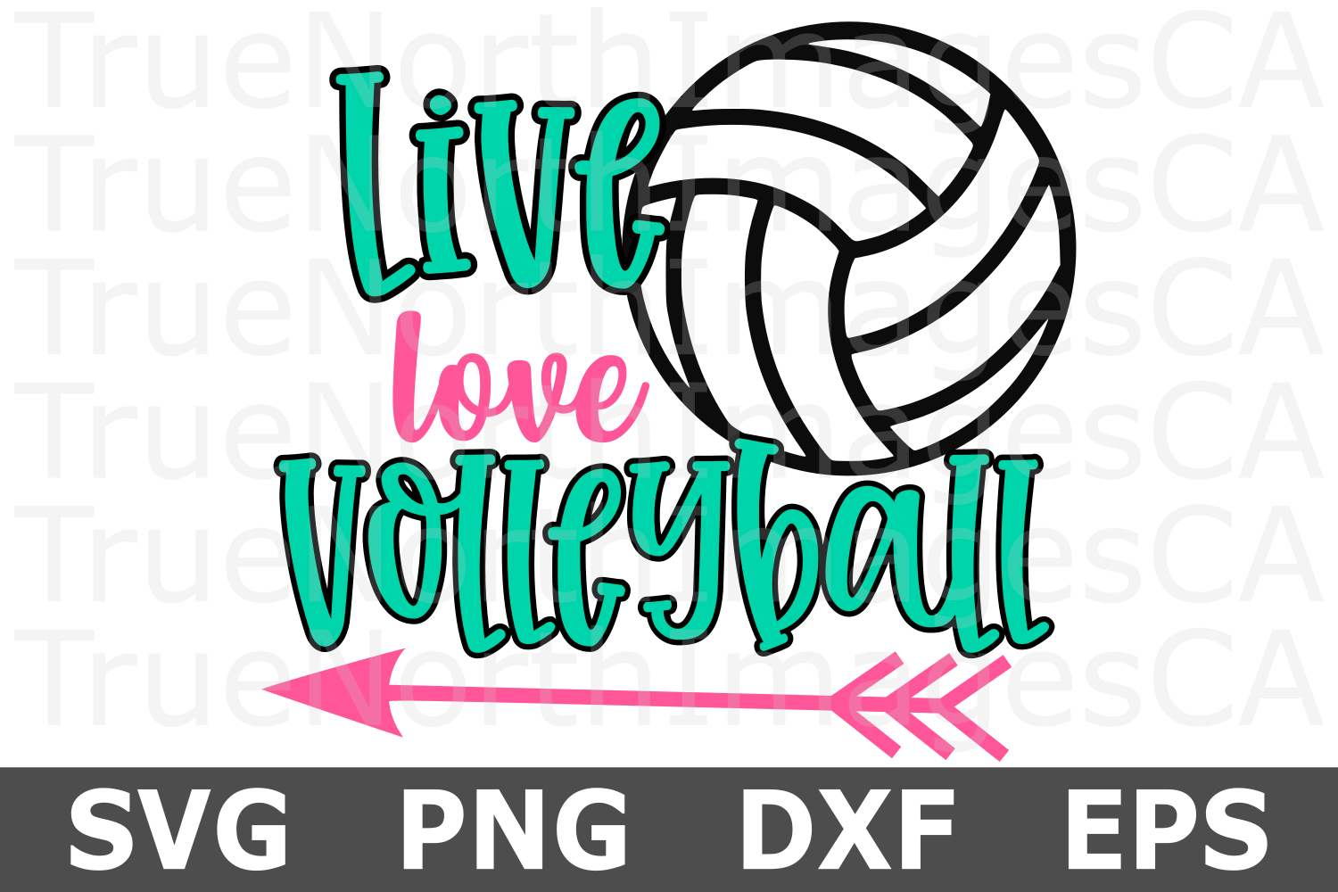 Live Love Volleyball - A Sports SVG Cut File