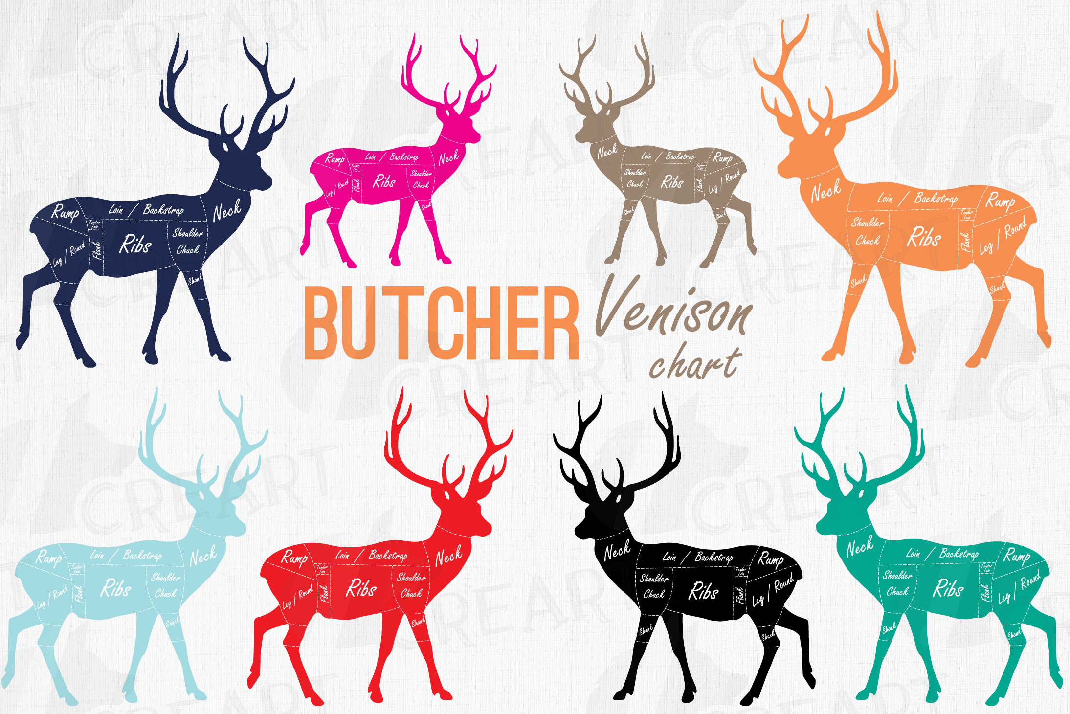 Butcher chart cuts of venison. Printable deer meat cut chart
