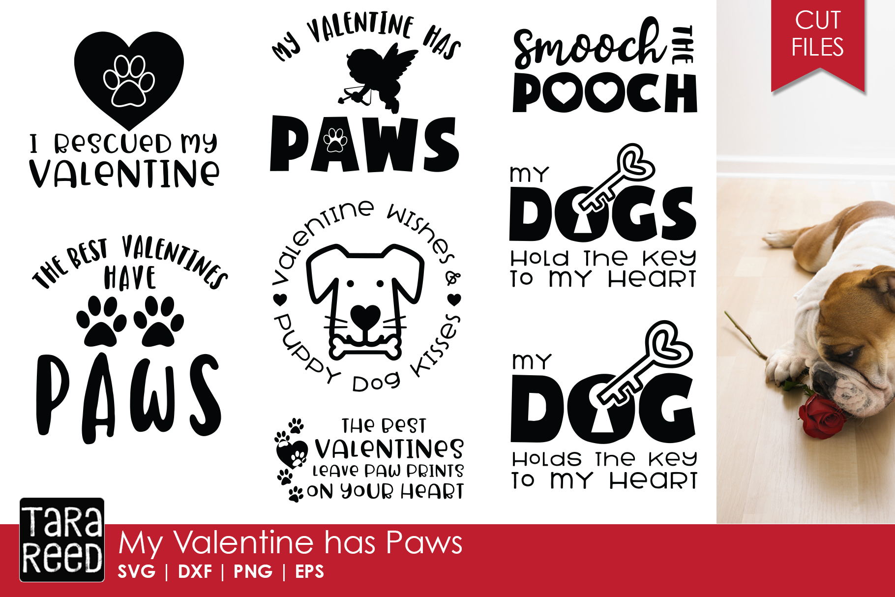 nice paws valentines day photo store