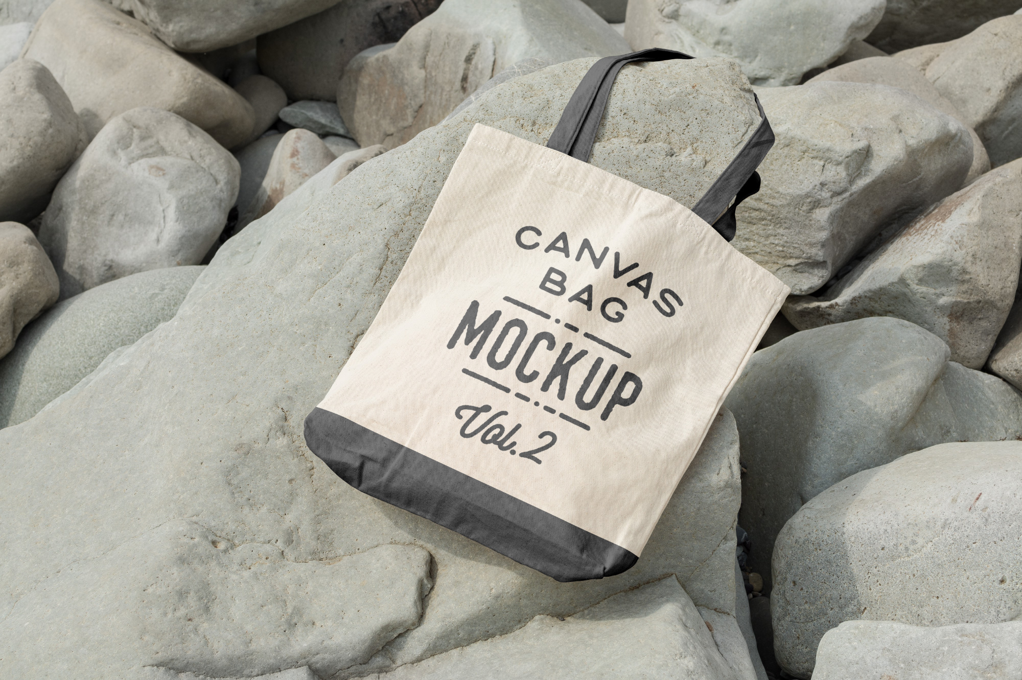 Download Canvas Tote Bag Mockups Pack Vol.2 (104602) | Mock Ups ...