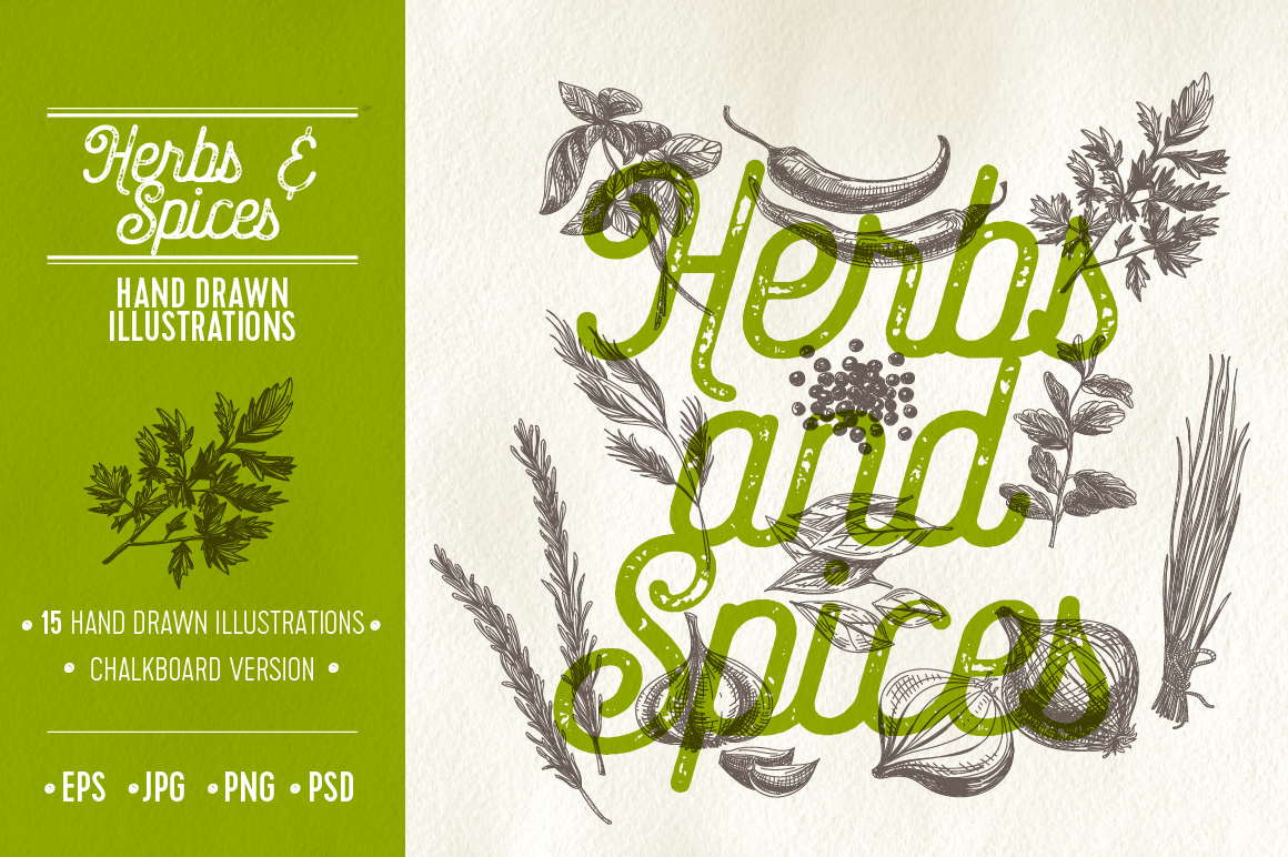 Herbs and spices illustrations (51946) Illustrations Design Bundles