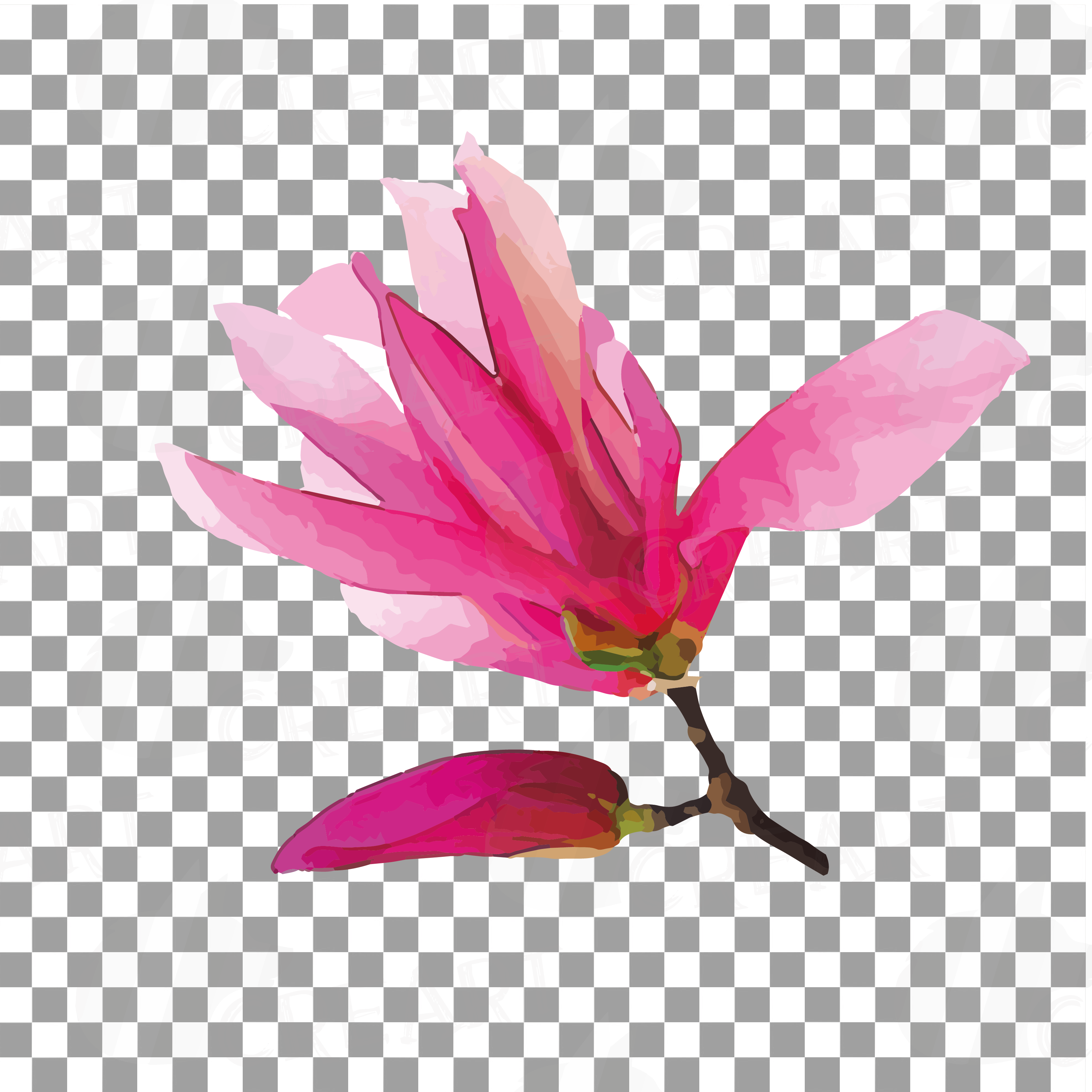 Download Watercolor Pink Magnolia flower and leaf clip art pack ...
