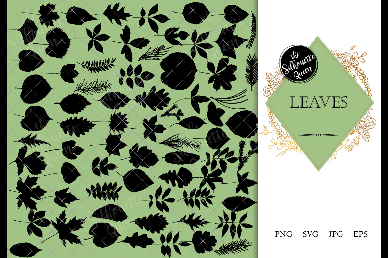 Download Leaf svg files cricut, leaves silhouette clip art, foliage V