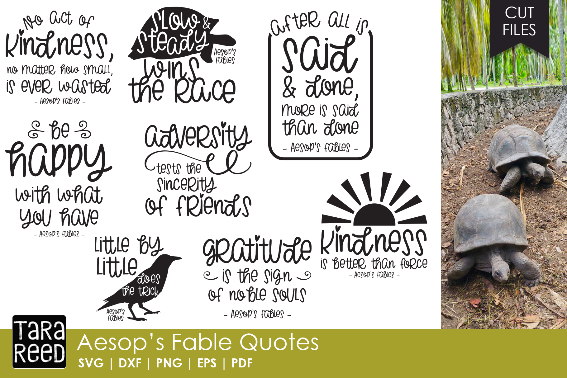 Aesop's Fable Quotes Bundle (134033) | Illustrations | Design Bundles