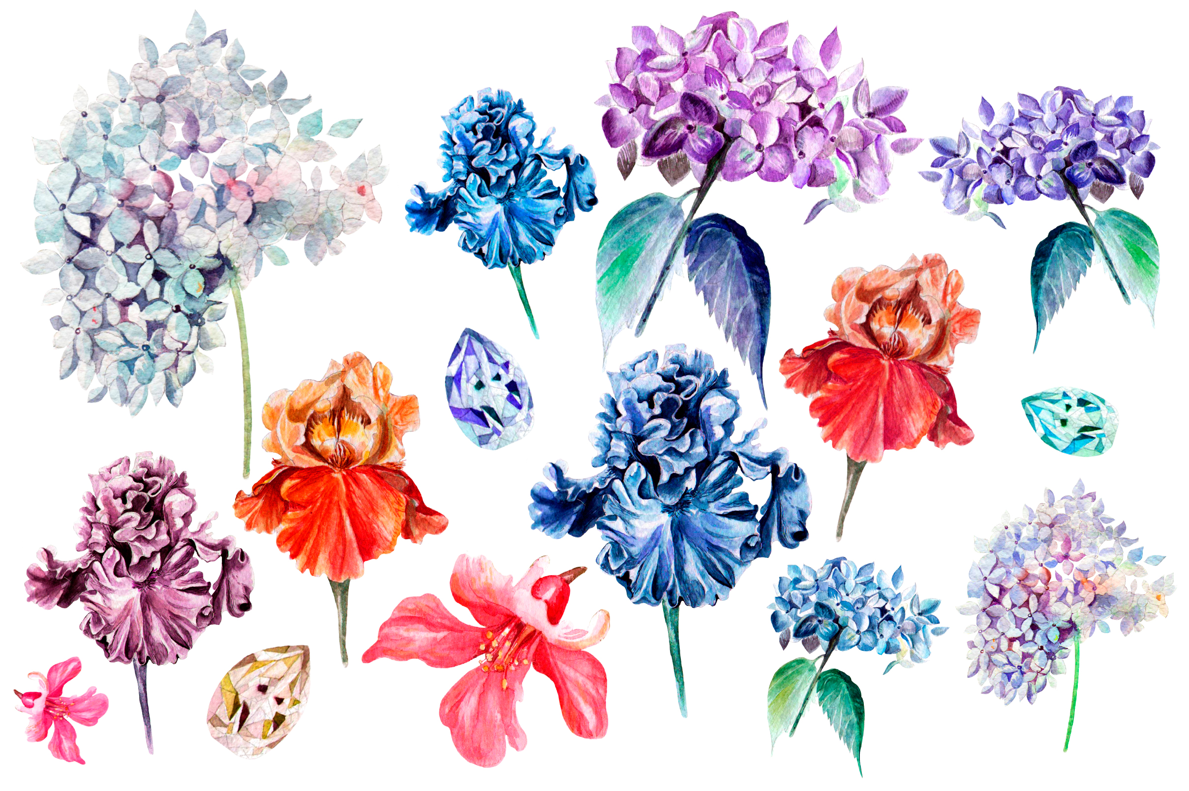 Download Beautiful watercolor flowers (2954) | Illustrations ...