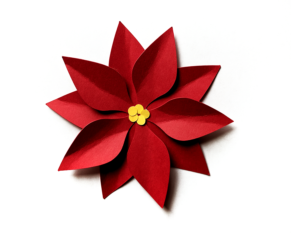 Christmas Poinsettia SVG File Cutting Template (79857) Cut Files