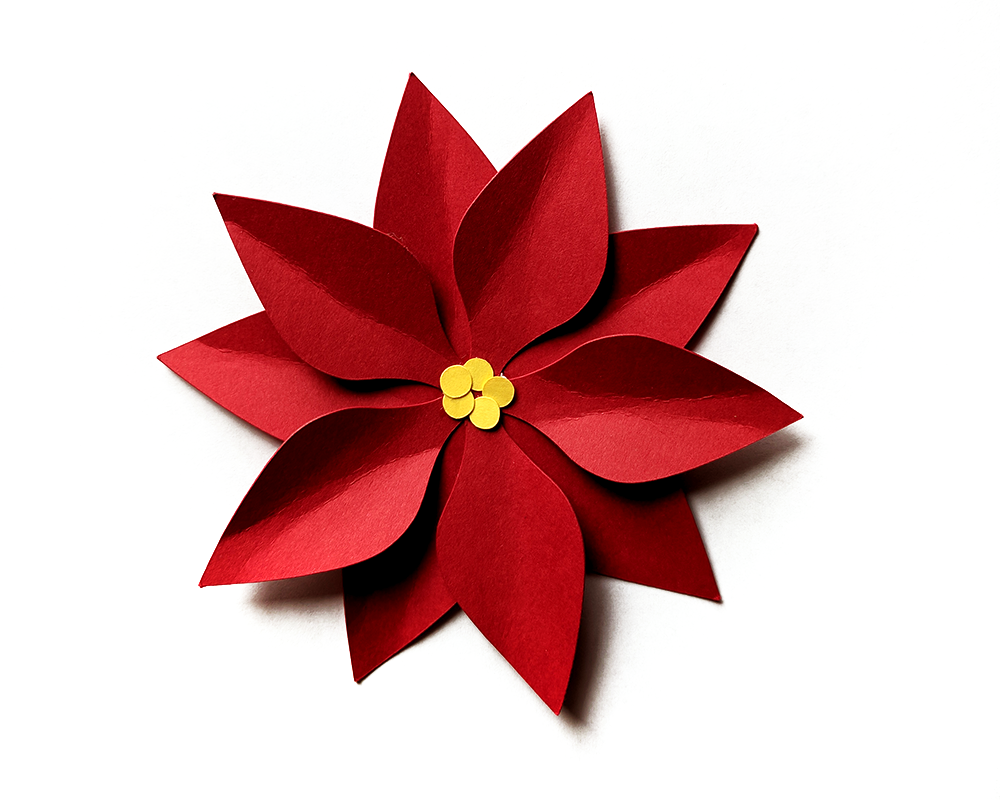 Download Christmas Poinsettia SVG File Cutting Template (79857 ...