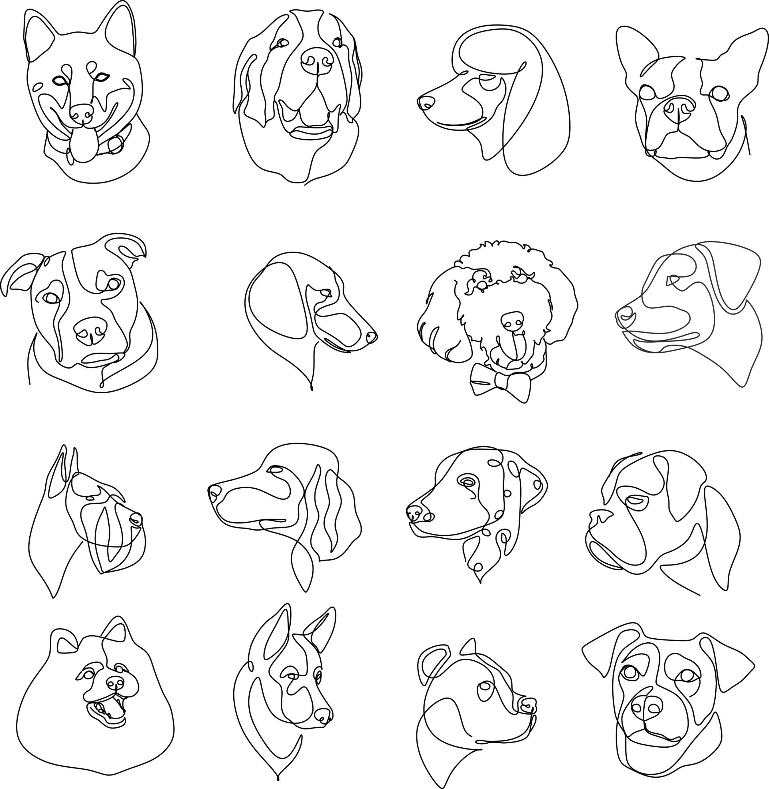 16 Dogs line drawings. Dog breeds