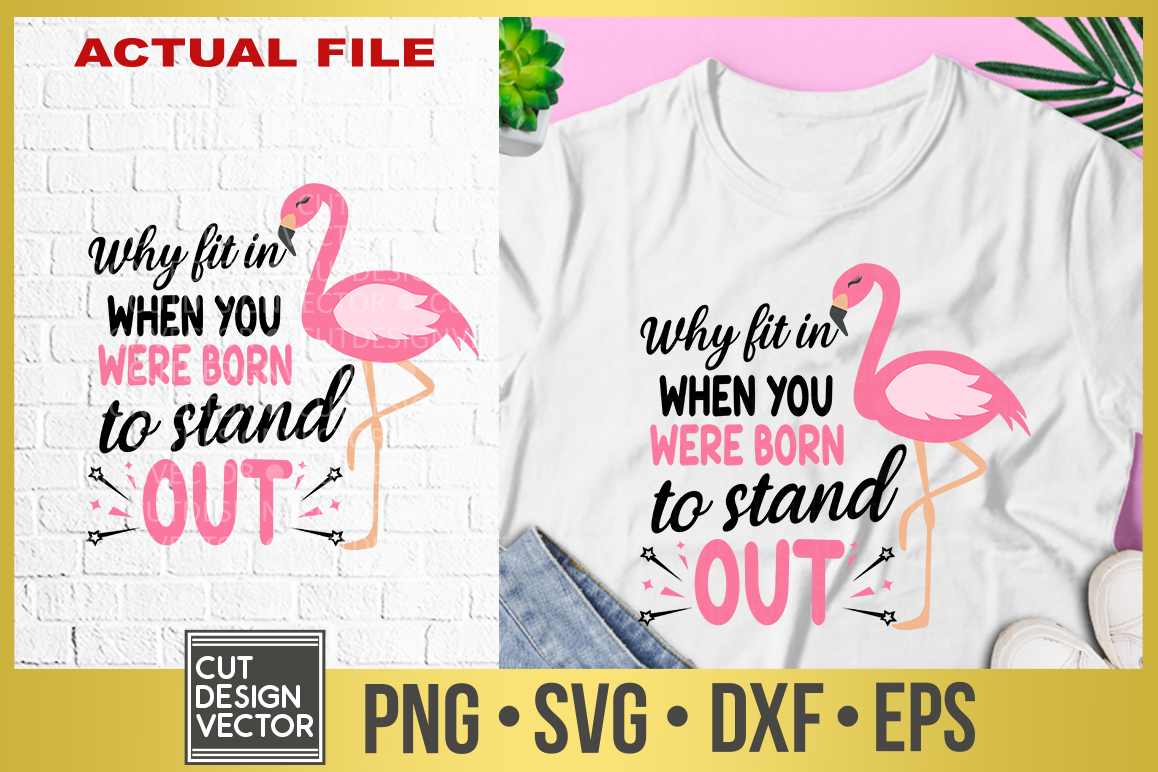 Why Fit in When You Were Born to Stand Out SVG (306527) | SVGs | Design