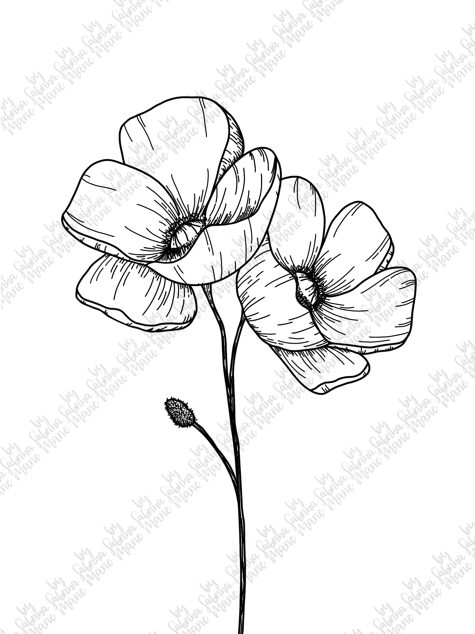 Download Poppies Handdrawn Flower Line Drawing SVG & PNG (175277) | Cut Files | Design Bundles