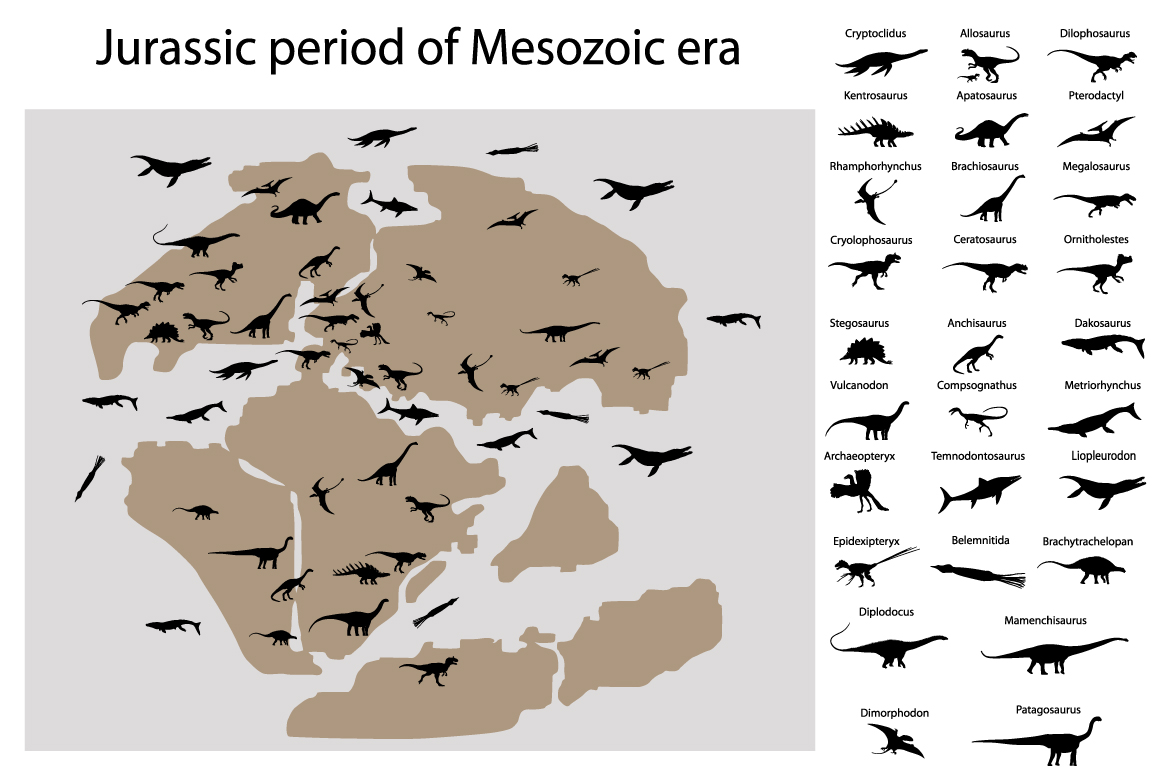 interesting facts about the jurassic period