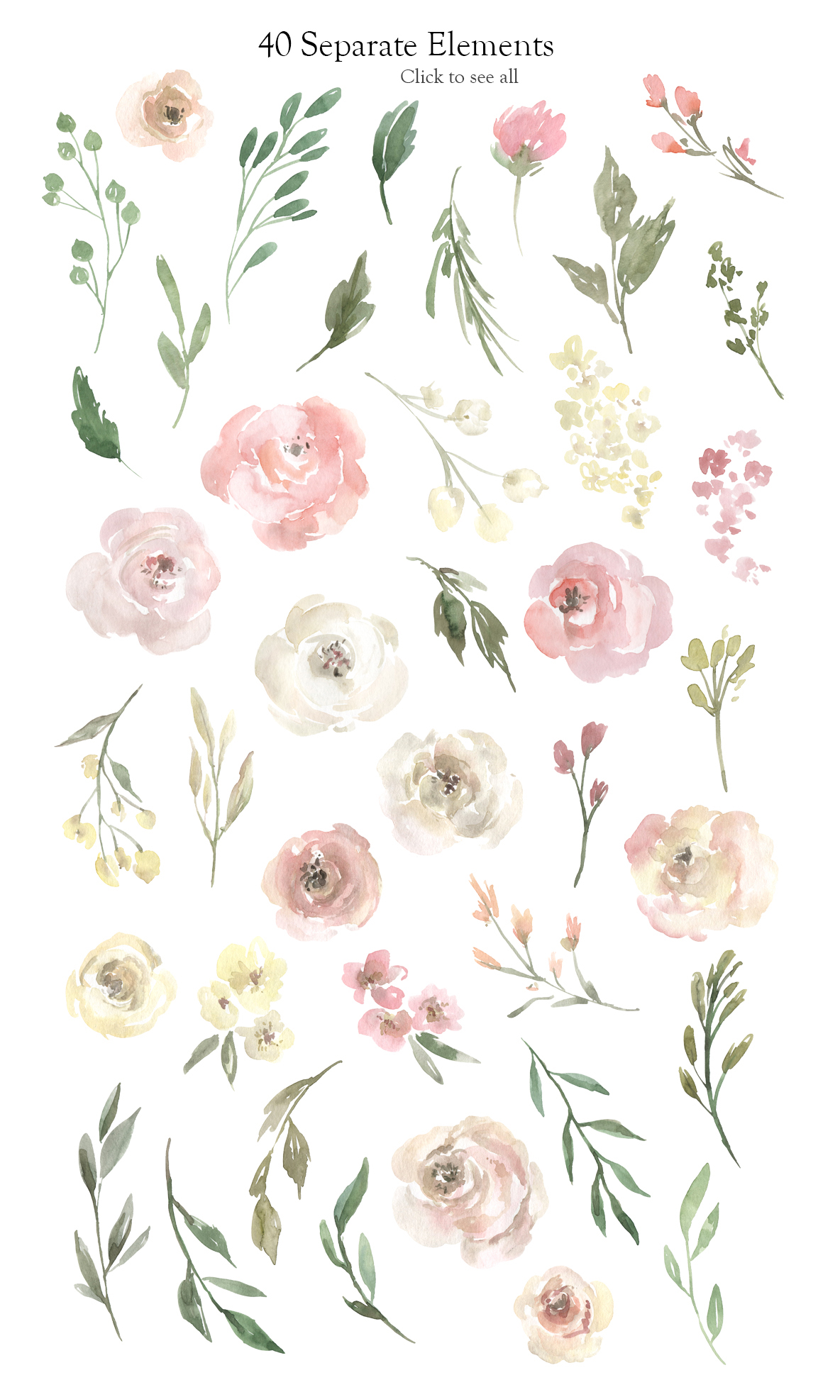 Watercolor Neutral Floral PNG Collection (106830) Illustrations