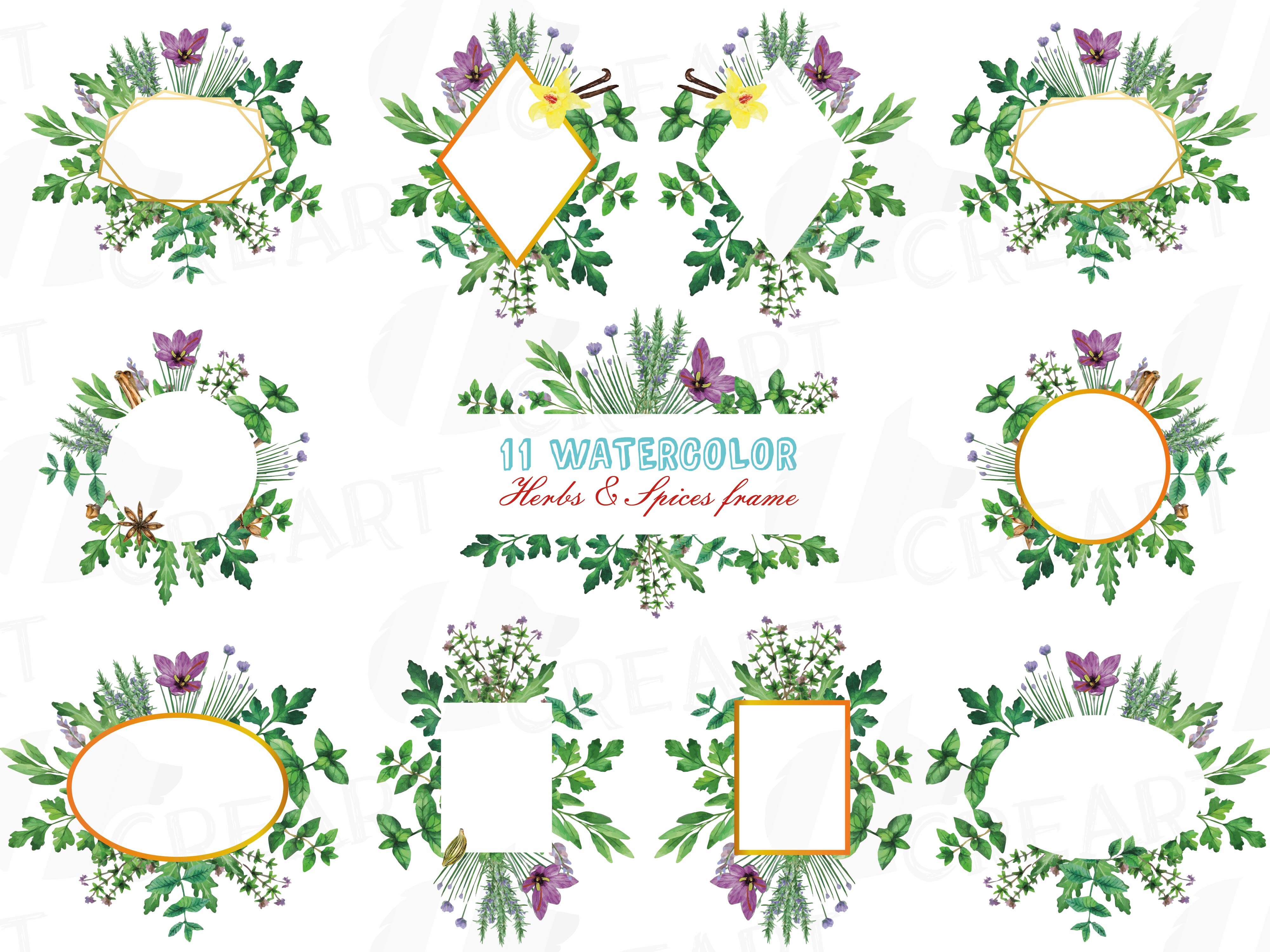Herbs and Spices frames watercolor clip art pack, watercolor herb