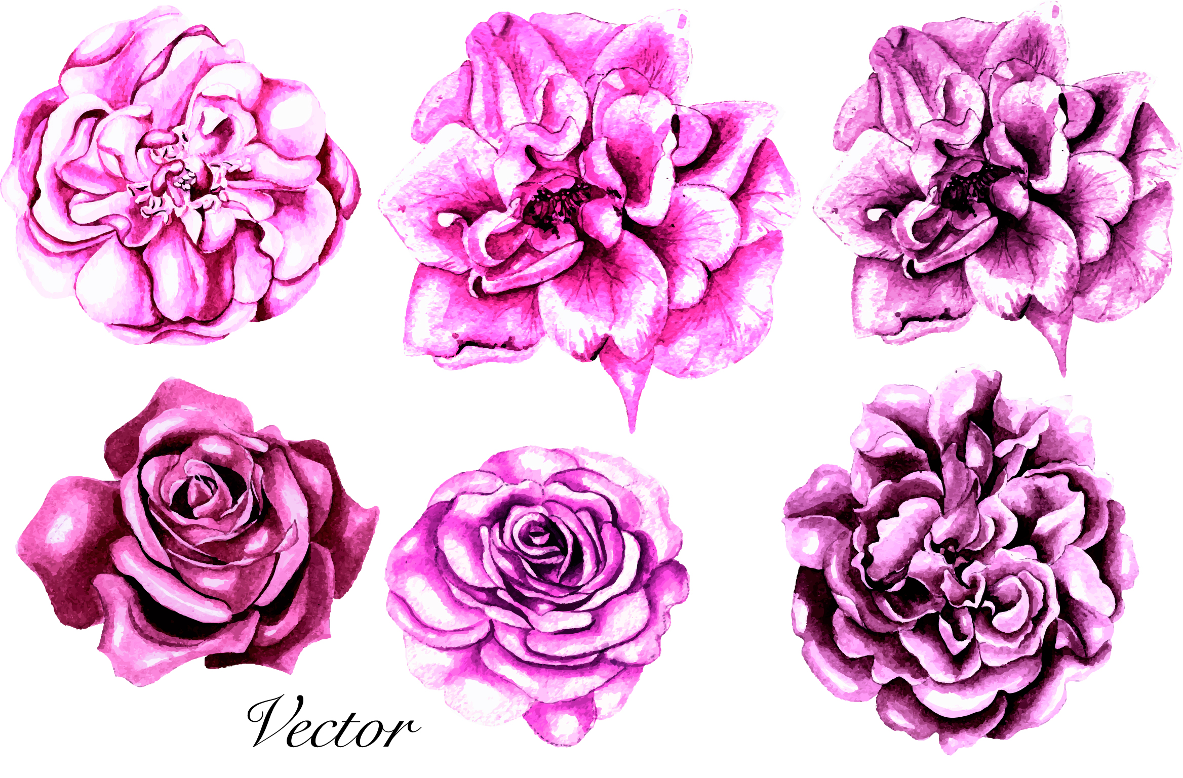 Hand Drawn Watercolor Flowers 64 PNG&VECTOR