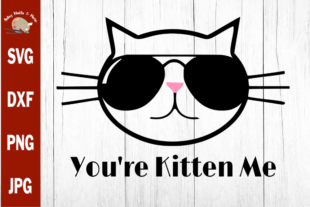 You're Kitten Me Cat svg, funny cat Sunglasses svg cut file