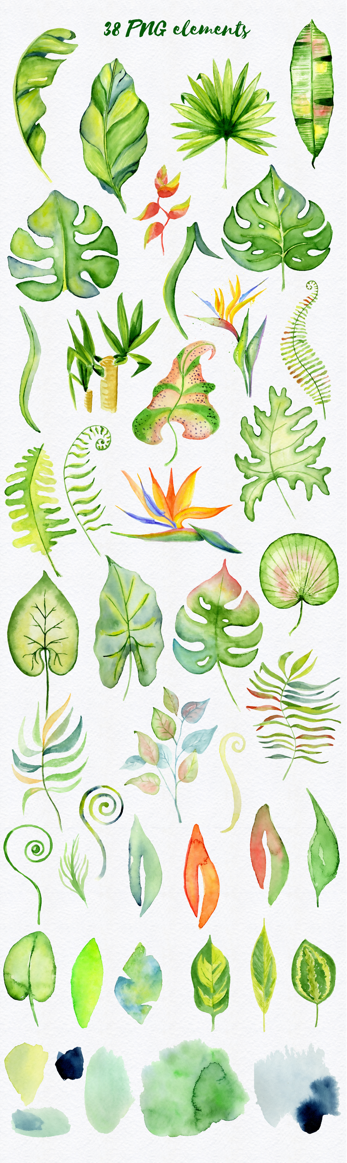 Tropical leaves Watercolor clipart