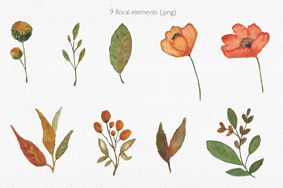 Watercolor floral set. Terracotta autumn.