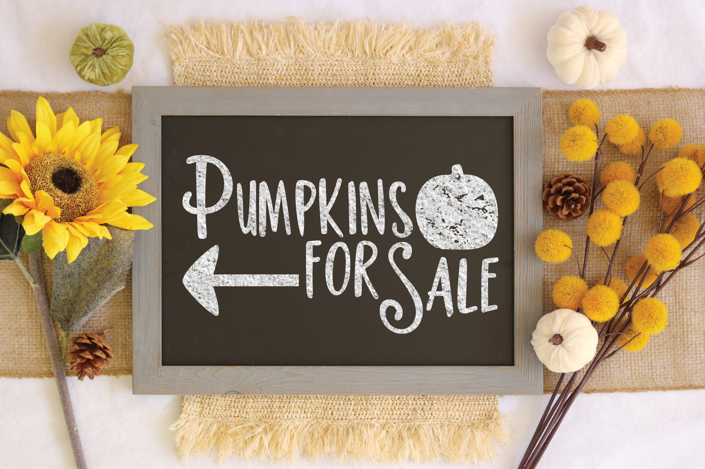 Download Pumpkins for Sale SVG Cut File - Fall Farmhouse SVG PNG DXF