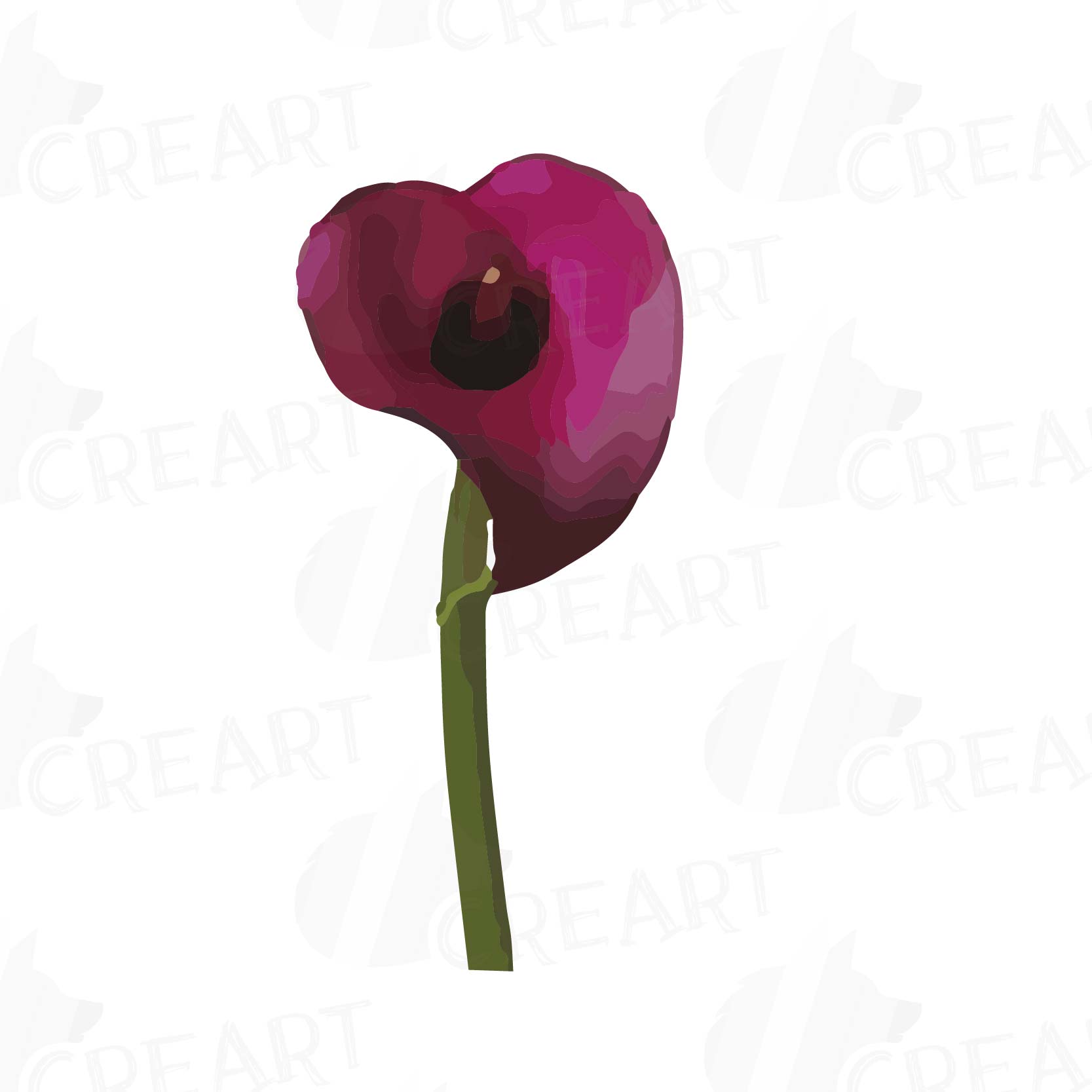 Watercolor Calla lily clip art pack, Colorful Zantedeschia flowers clip