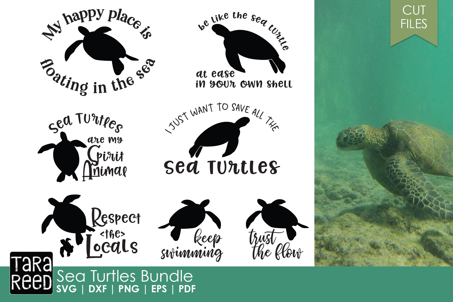 Download Sea Turtles - Sea Turtle SVG and Cut Files for Crafters (97453) | Cut Files | Design Bundles