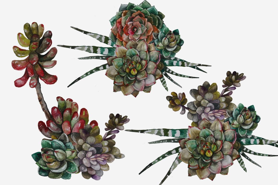 Download Succulents and Cacti Watercolor Clip Art Set
