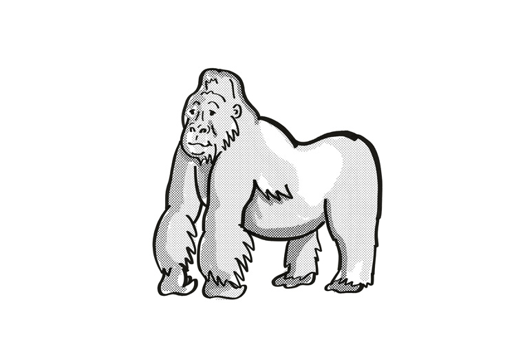 Mountain Silver Back Gorilla Endangered Wildlife Cartoon Mon