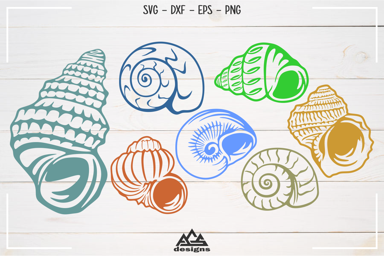 Download Sea Shell Packs Svg Design (383298) | Cut Files | Design ...
