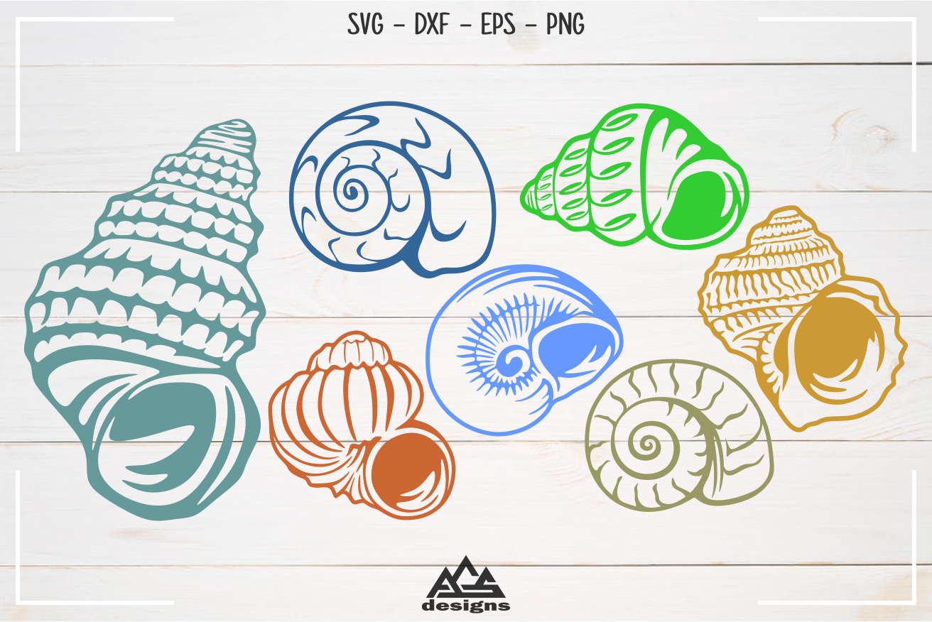 Download Sea Shell Packs Svg Design (383298) | Cut Files | Design Bundles