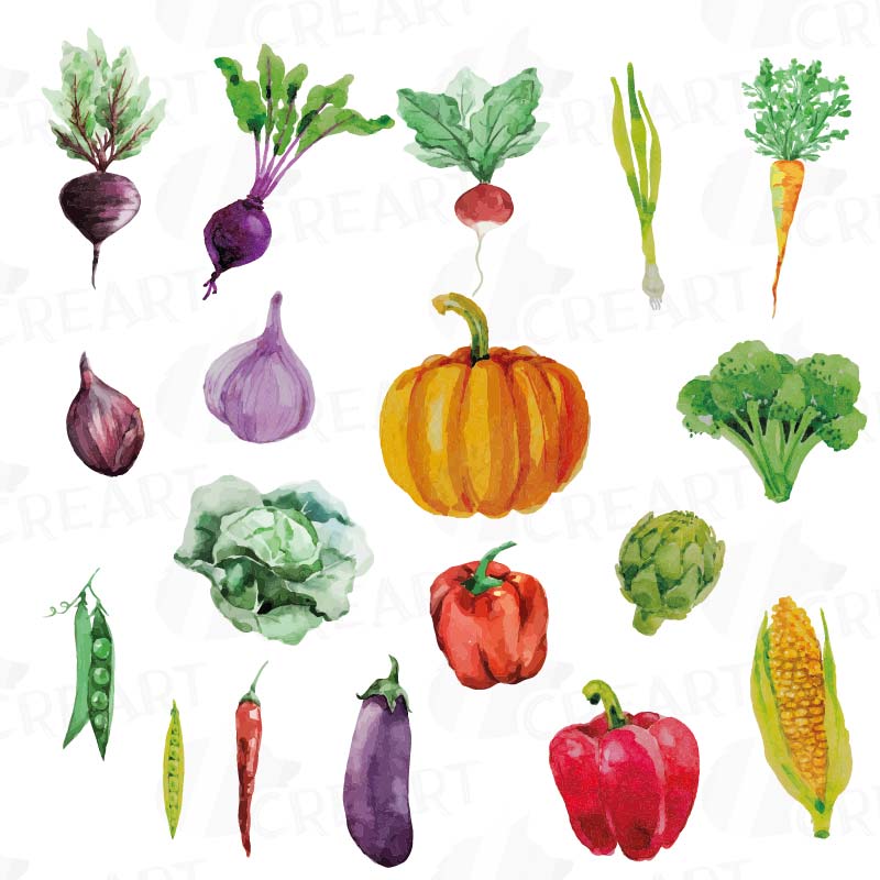 Download Watercolor Vegetables clip art pack, green and colorful ...