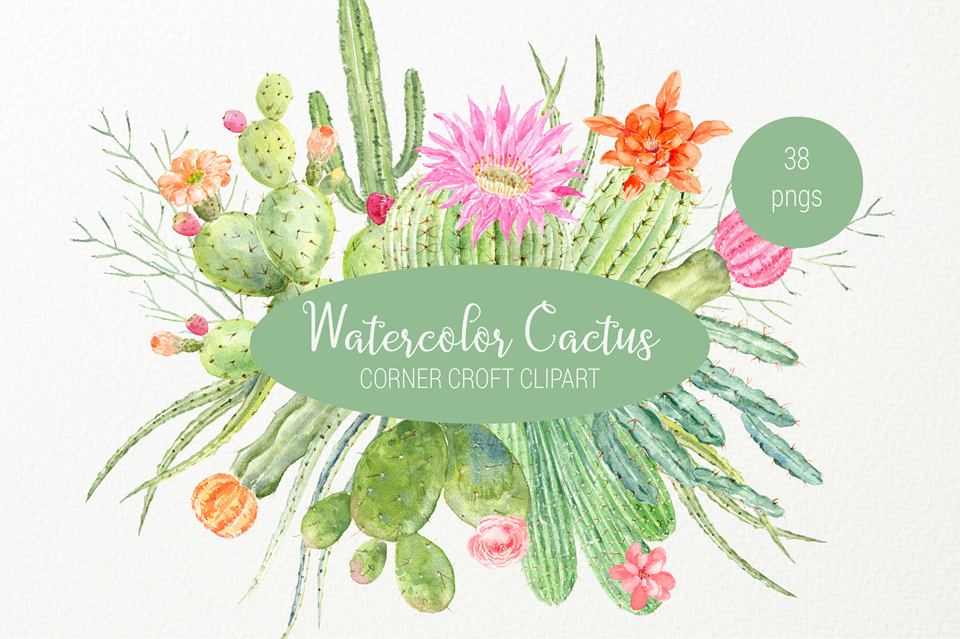 Watercolor clipart cactus for instant download (92177 ...