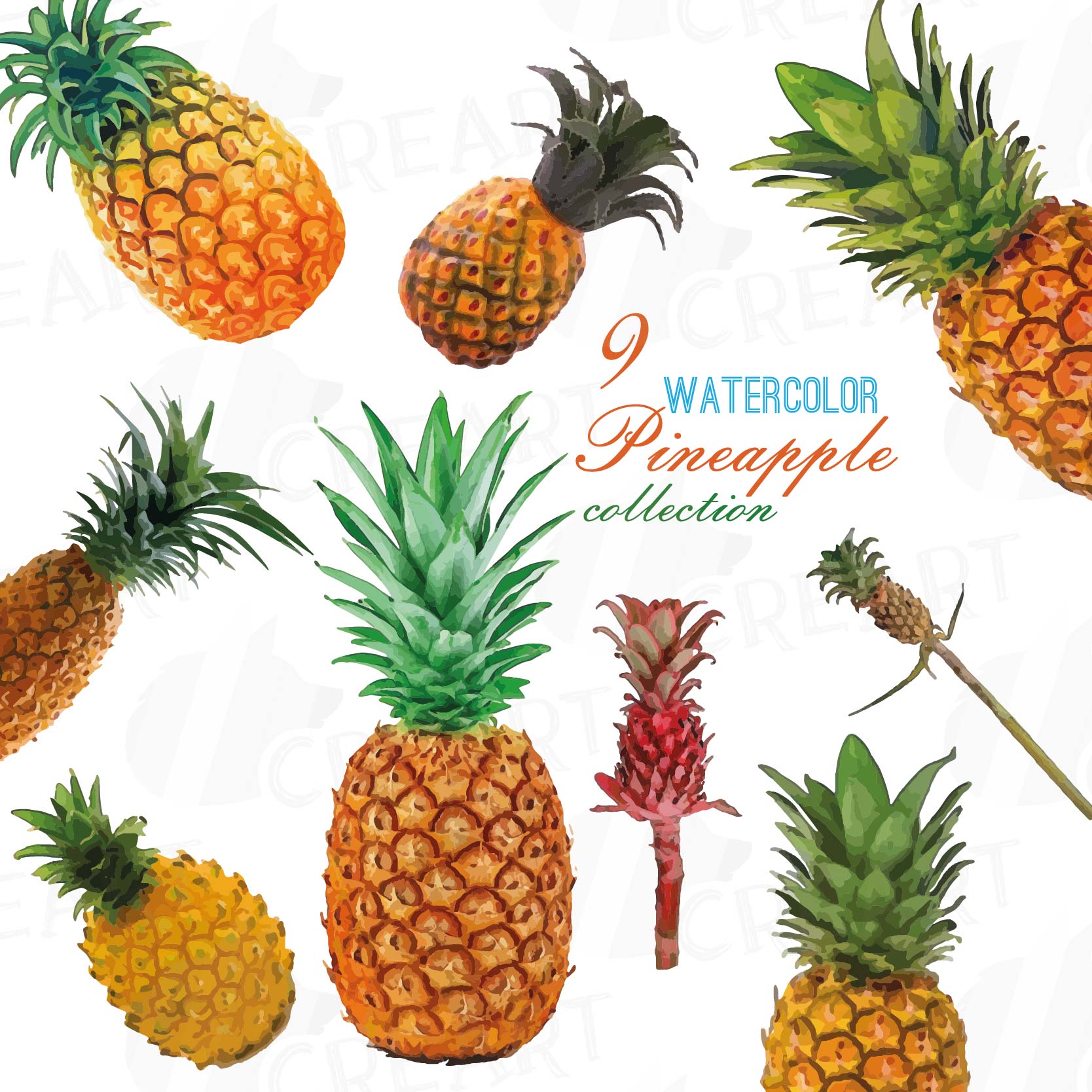 Download Watercolor Pineapple clip art pack, watercolor ananas clip art exotic fruit, Printable png, pdf ...