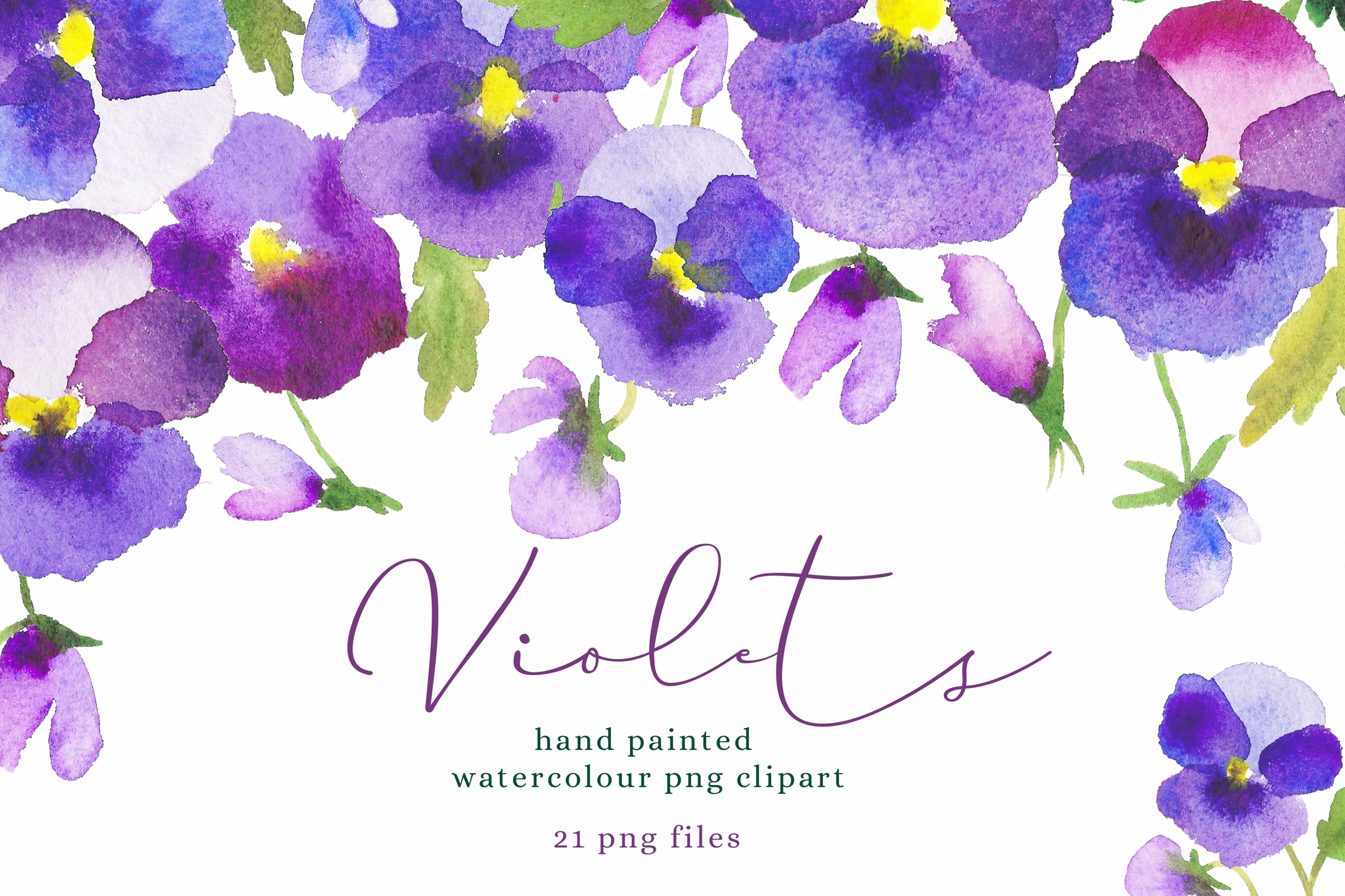 Watercolour Flower Hand Painted Clip Art - Violets, Pansy PN (305791