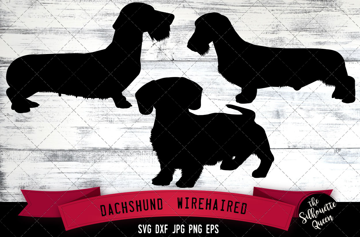 Download Dachshund Wirehaired Svg Files Dog Svg Silhouette File