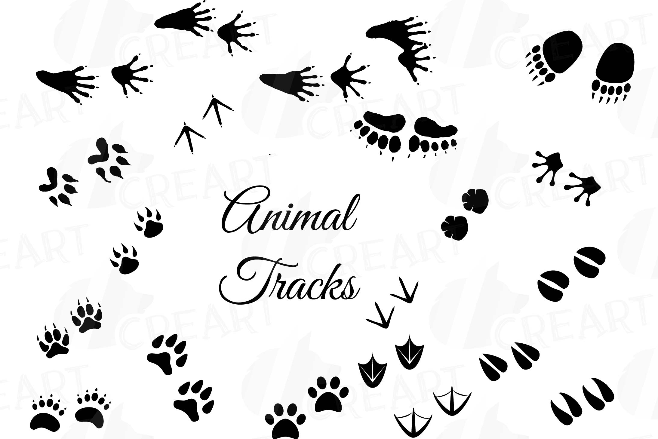 Animal Tracks Woodland Animals Footprints Clipart Pack 109435 