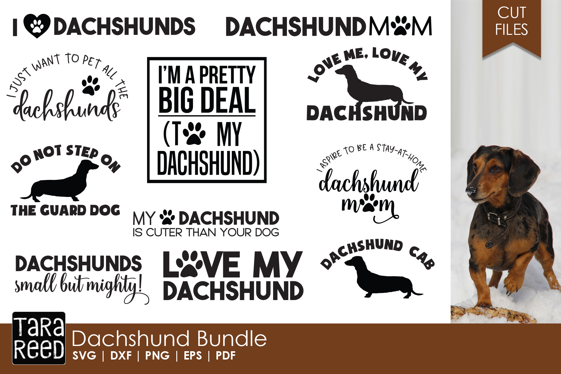 Dachshund Bundle