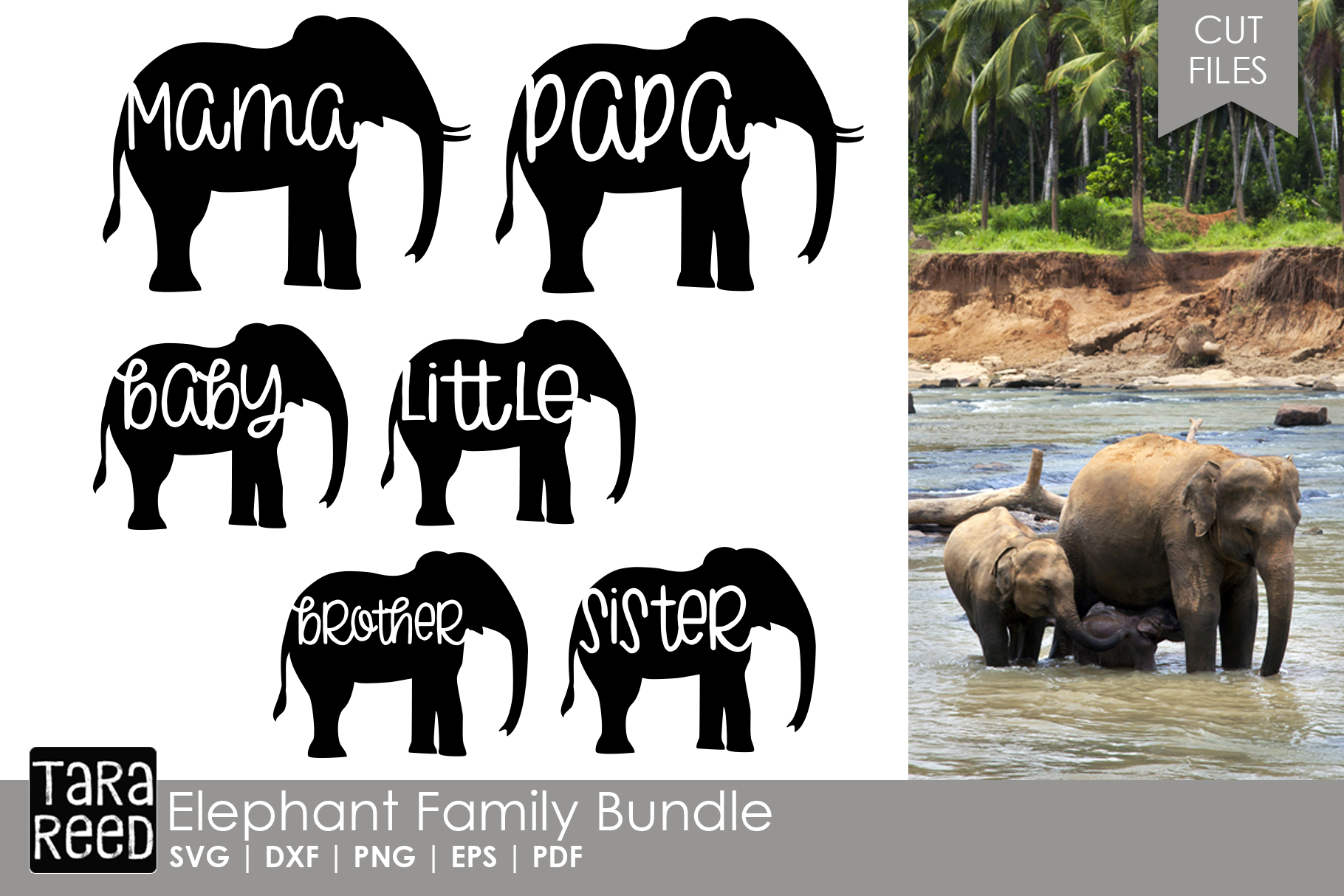 Elephant Family - Family SVG and Cut Files for Crafters