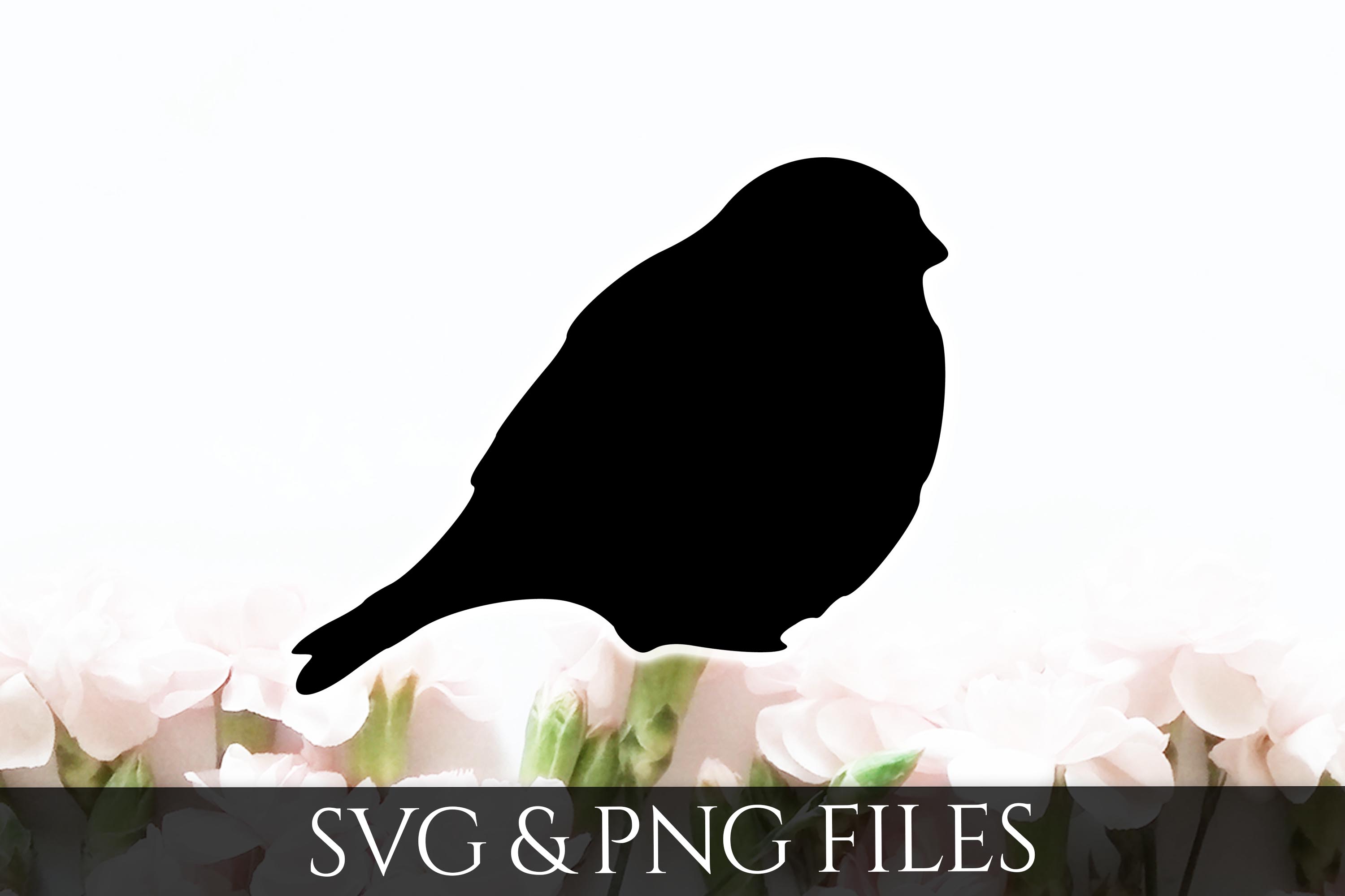 Download Bird SVG & PNG File (82138) | SVGs | Design Bundles