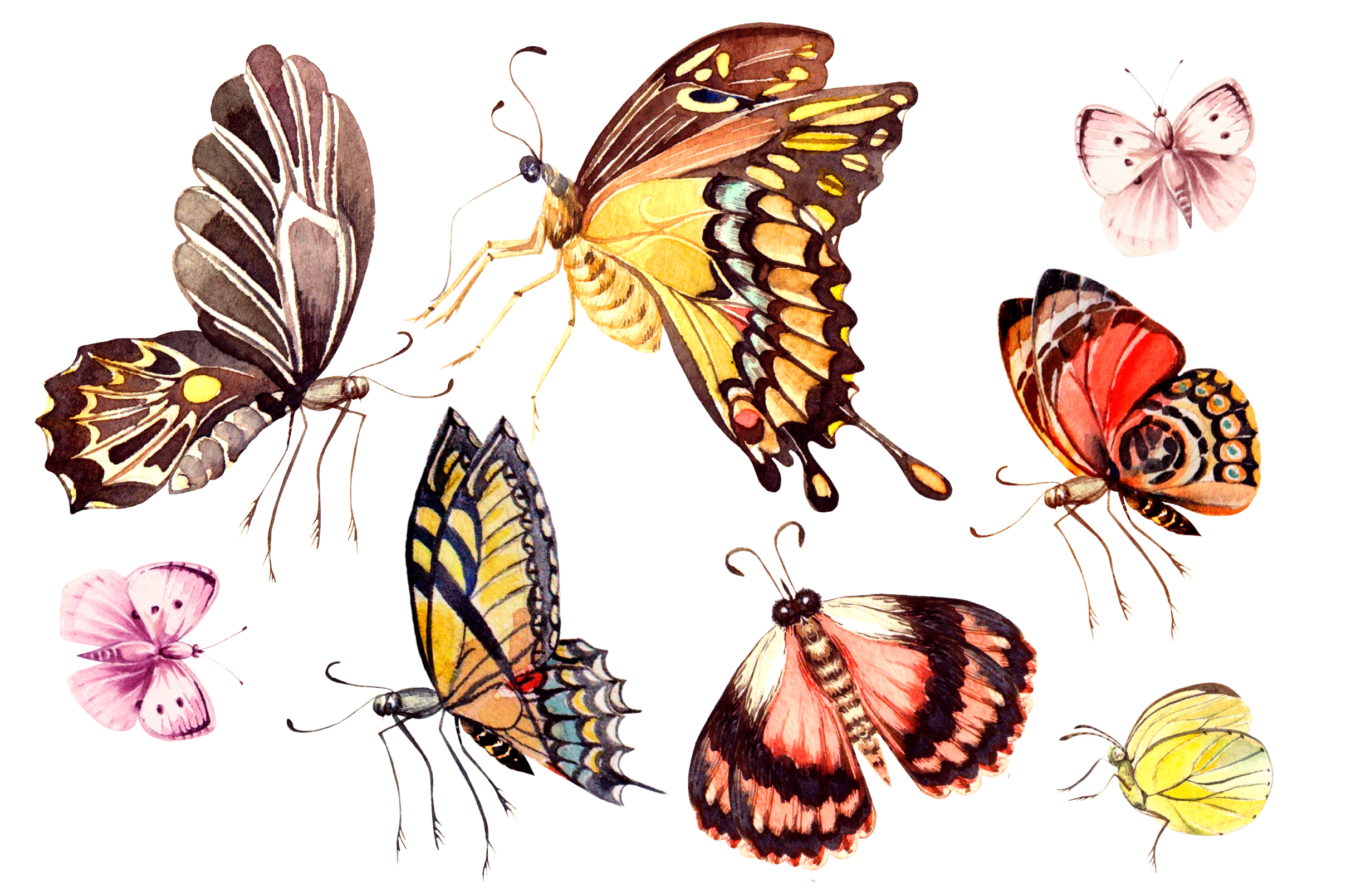 Beautiful watercolor butterflies (39512) | Illustrations | Design Bundles
