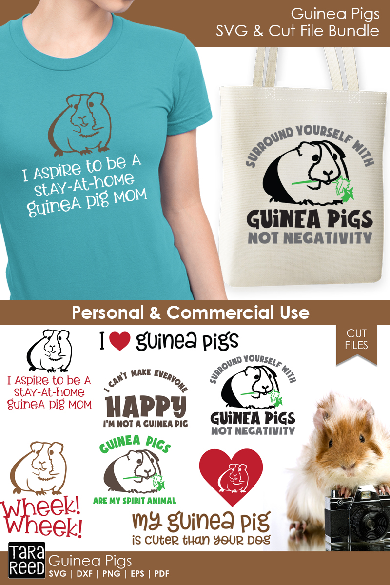 Download Guinea Pig SVG and Cut Files for Crafters