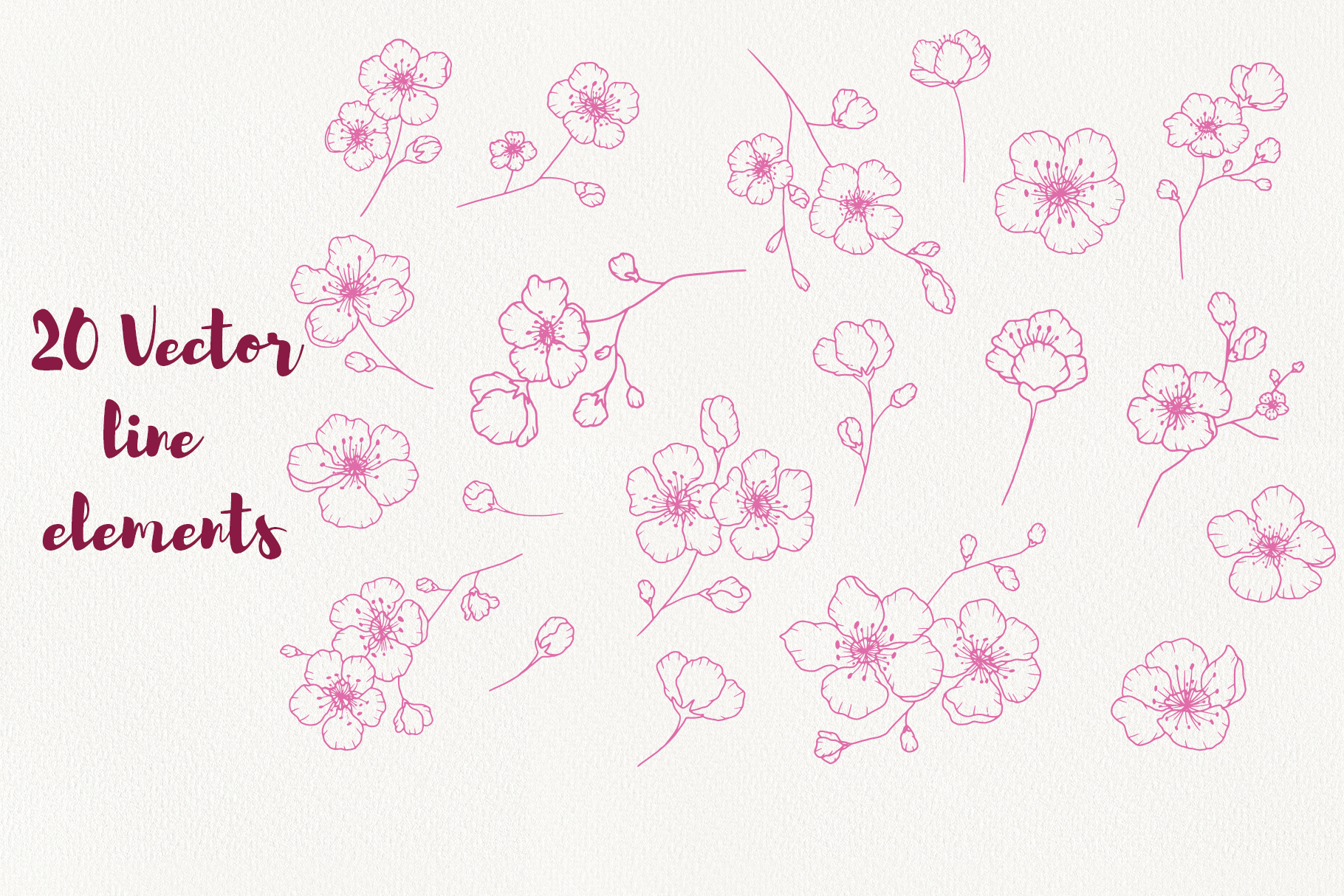 Cherry Blossom Clipart