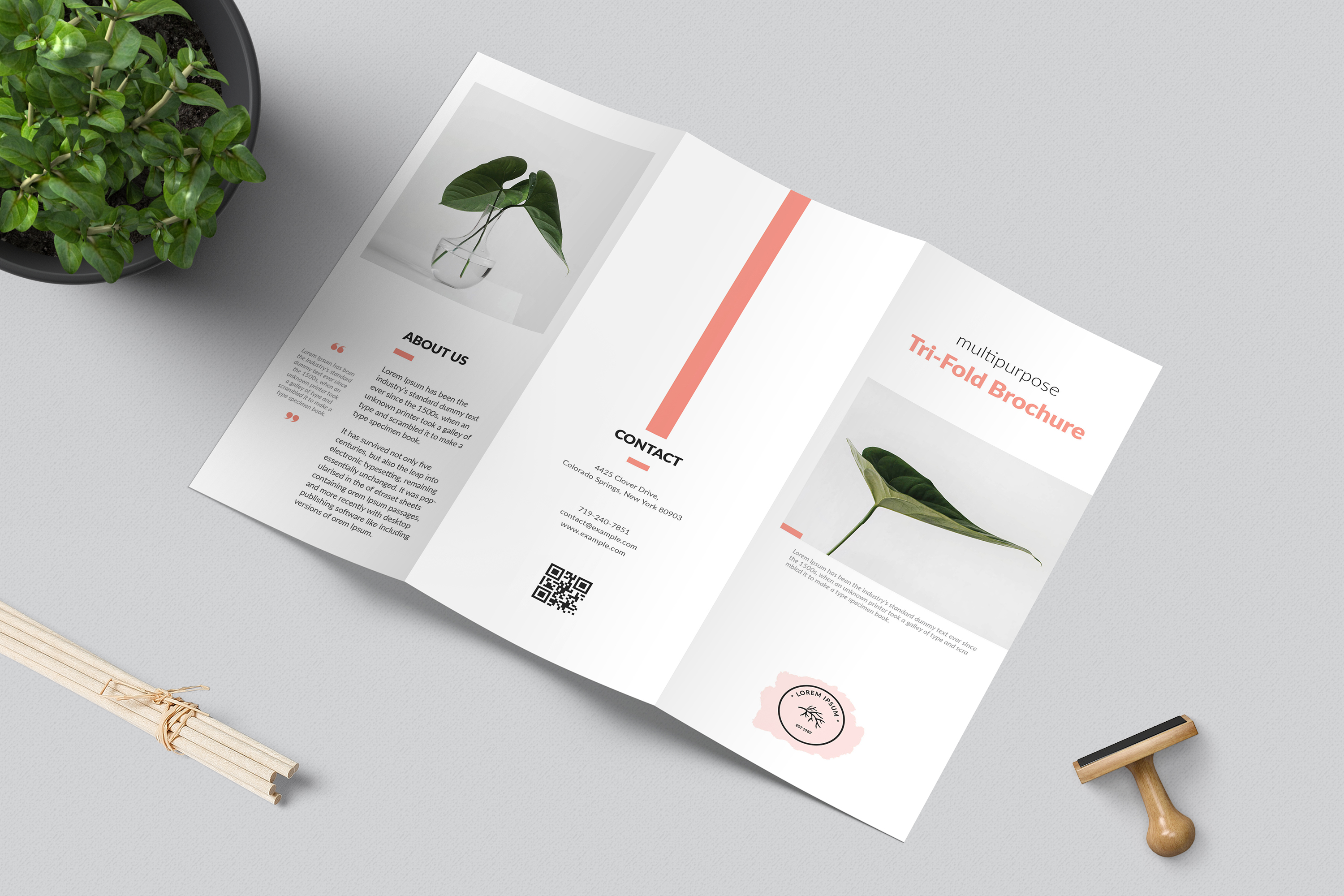 Minimalist TriFold Brochure Template (356705) Brochures Design Bundles