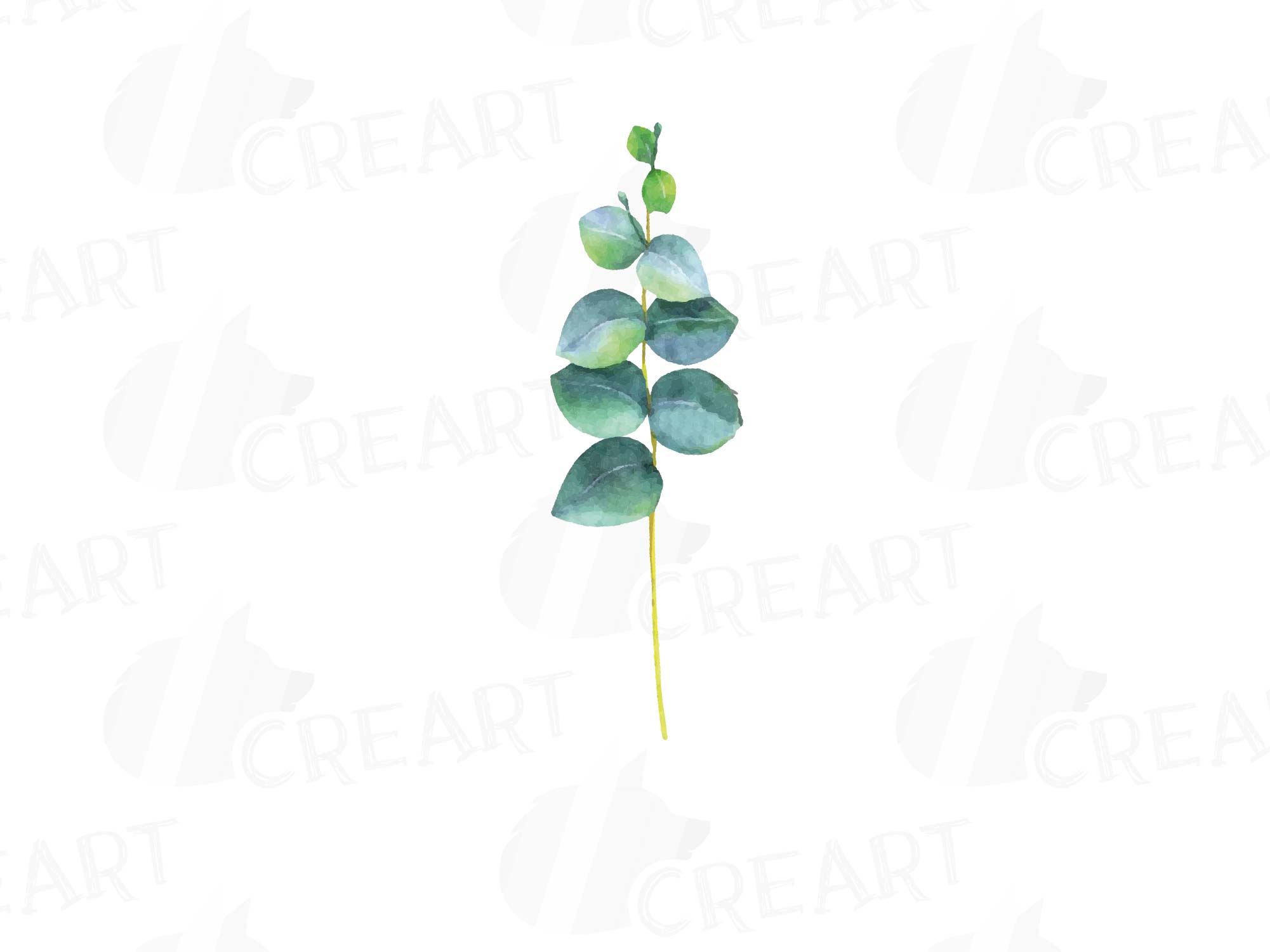 Eucalyptus leaves and branches watercolor clip art pack, Eucalyptus