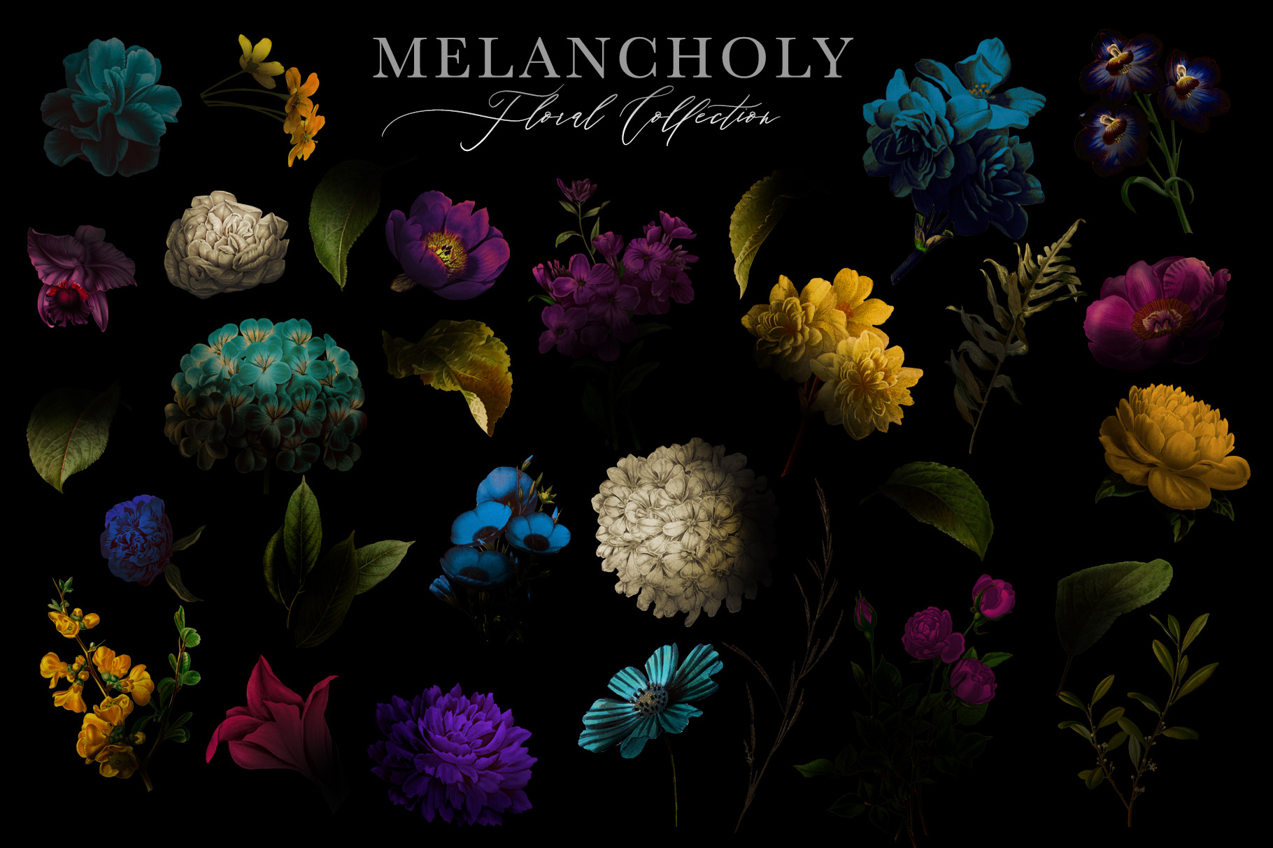 melancholy-floral-collection-133489-illustrations-design-bundles