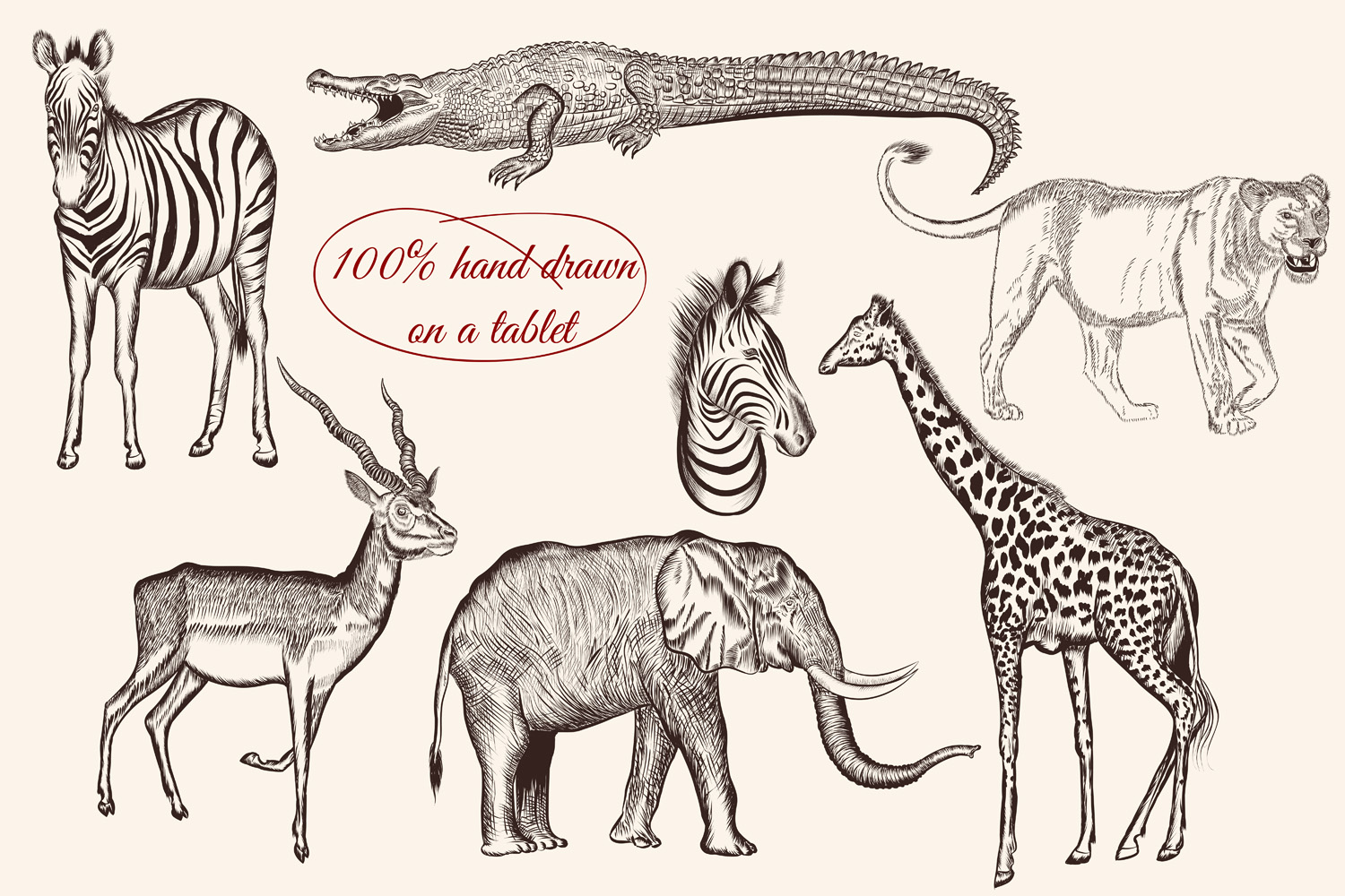 Download Bundle from vector engraved animals (96965 ...