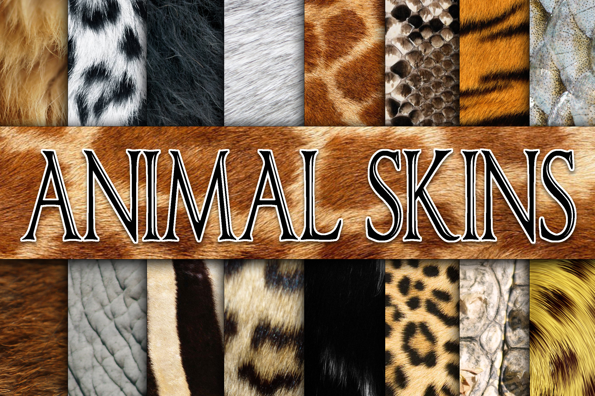 Animal Skin Textures Digital Paper (37185) | Backgrounds | Design Bundles