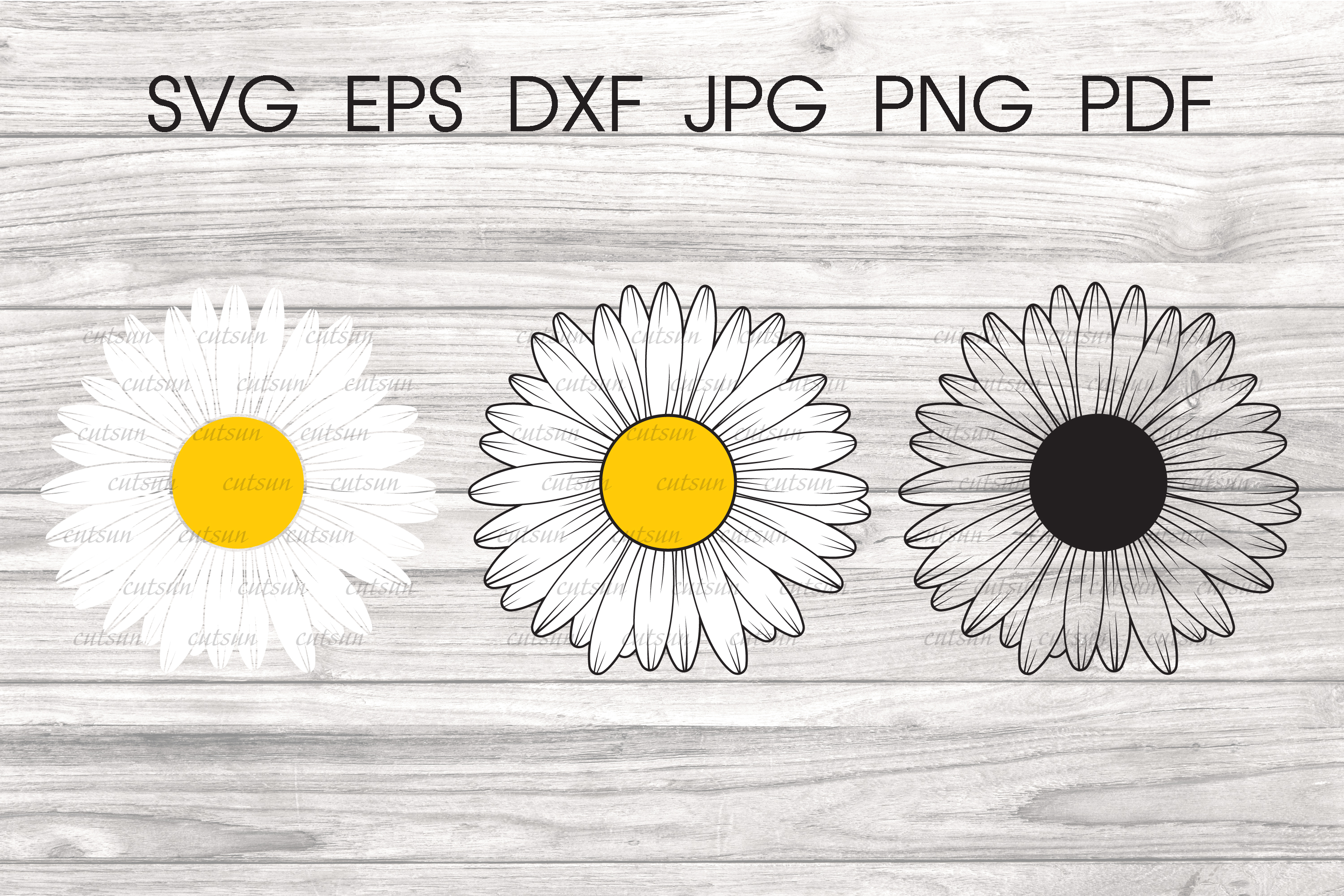 Daisy flower SVG | Flower SVG file for crafters
