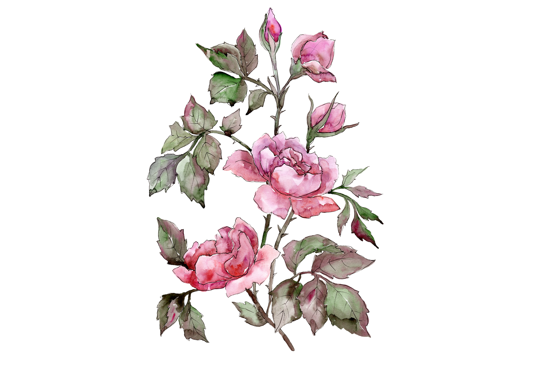 Elegant bouquet of pink rose PNG watercolor set (140297